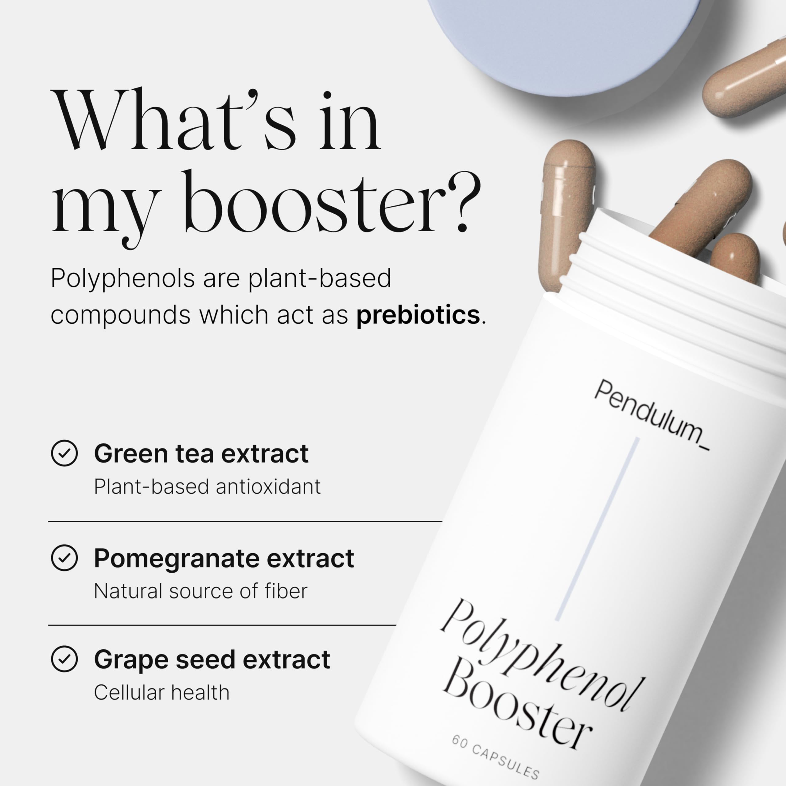 Pendulum Polyphenol Booster, Antioxidant from Superfoods, Beneficial Plant Compounds for Good Health, Helps Boost Akkermansia Muciniphila for Men & Women (60 Capsules, 1-Pack) PendulumUS supplements