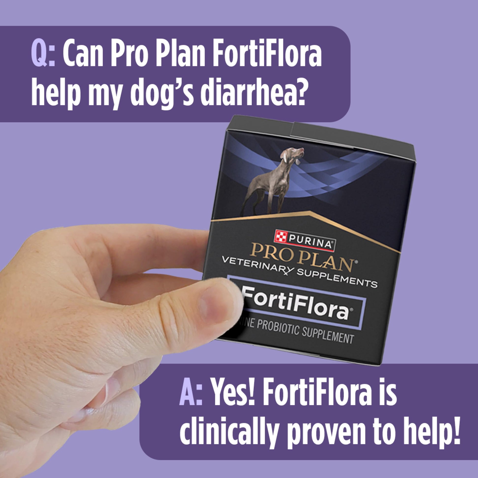 Purina Pro Plan Veterinary Supplements FortiFlora Daily Probiotics for Dogs, Helps Digestive Gut Health and Diarrhea - 30 ct. Box Pro Plan Veterinary DietsAu supplements