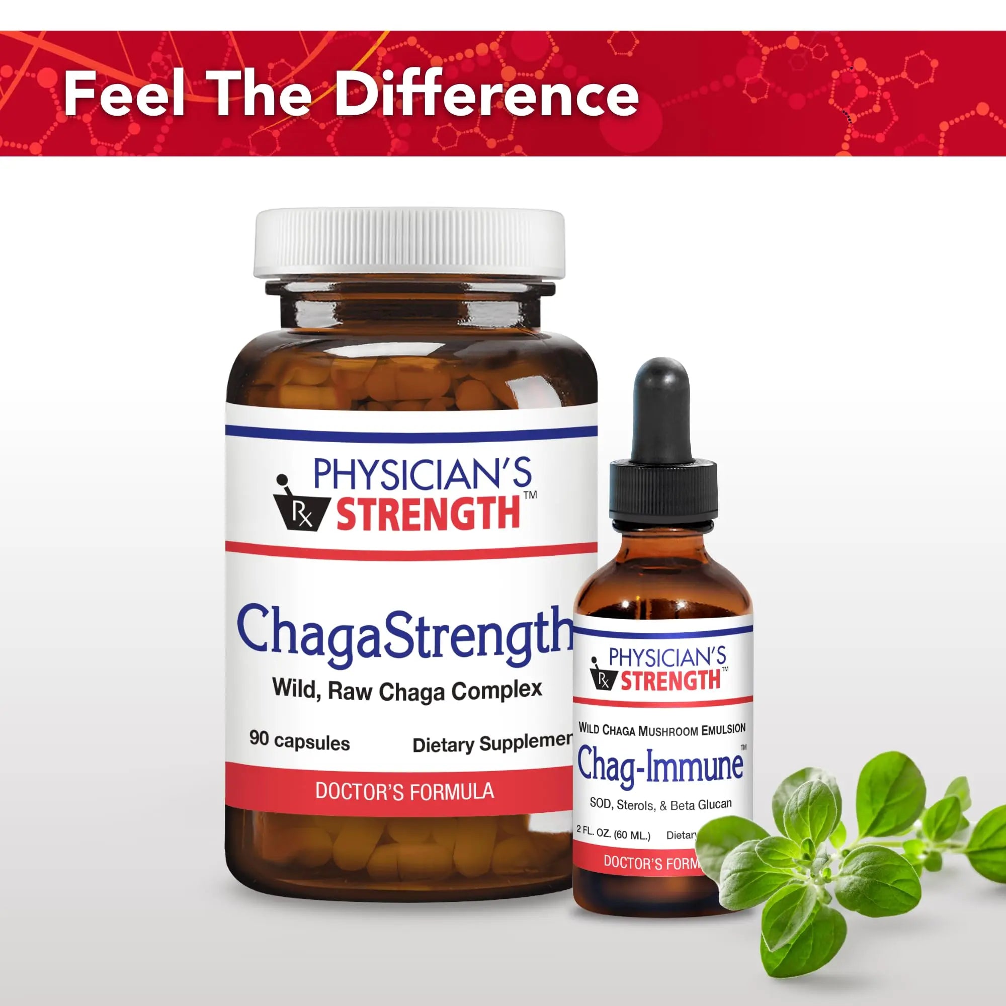 Physician's Strength ChagaStrength - 90 Capsules - Wild, Raw Chaga Complex - Immune & Physical Support - Non-GMO - 90 Servings Physician's Strengthnz supplements