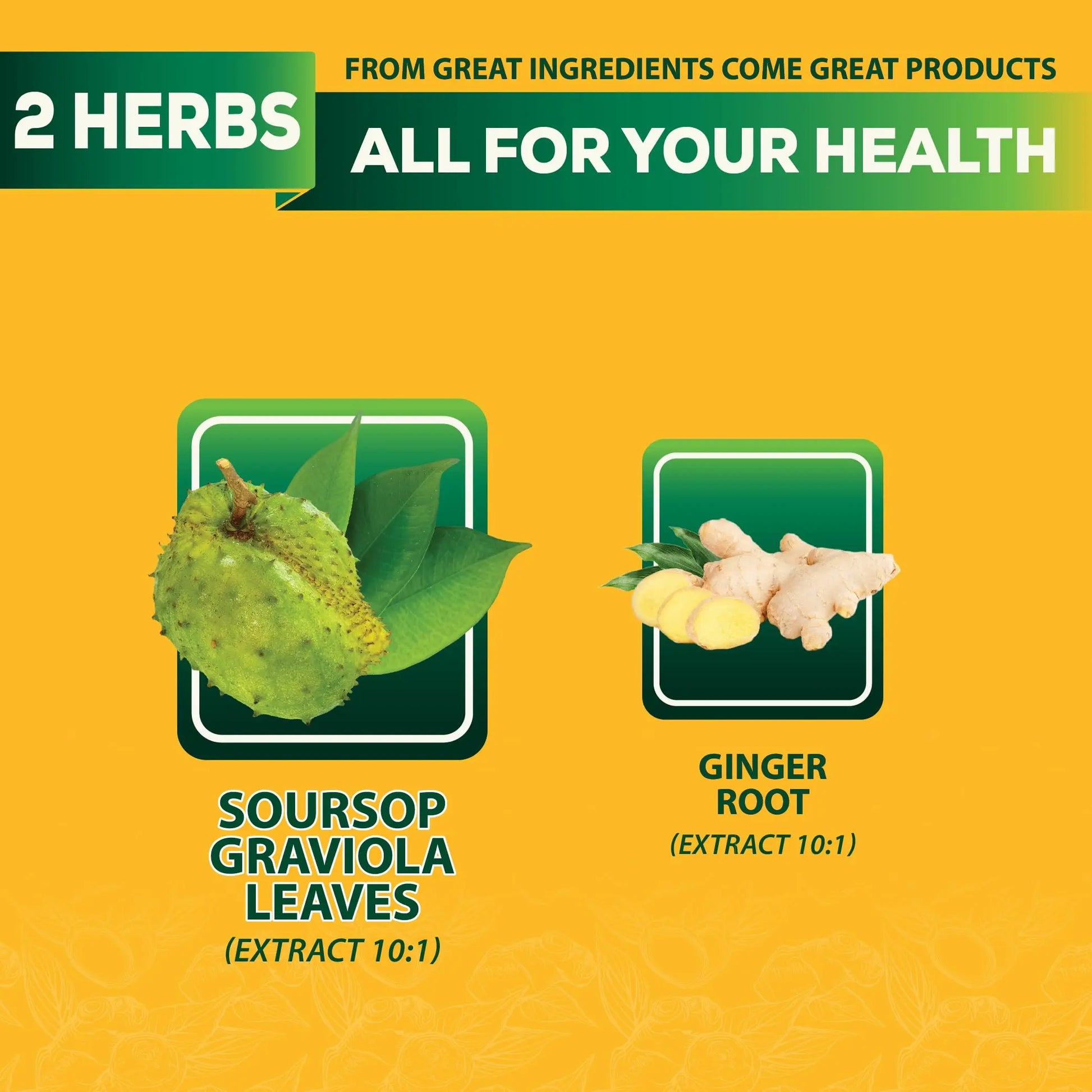 DEDICAD Soursop Leaves Tea Bags with Ginger, 30 Tea bags, 2gr/bag - Non-GMO/Caffeine free - Support Digestion, Well Skin, Immune System DEDICADnz supplements