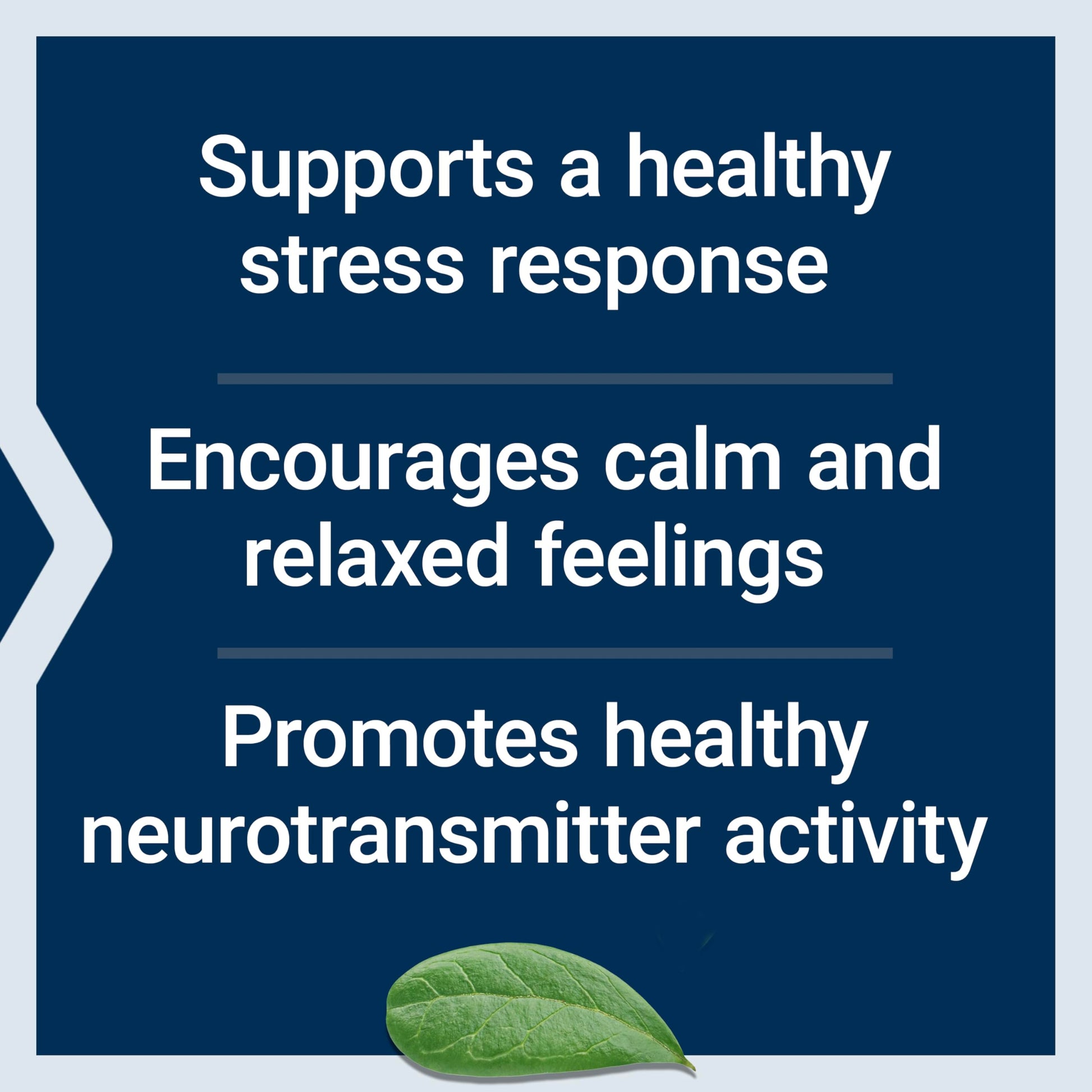 Life Extension Calm-Mag, Magnesium Acetyl taurinate, Daily Stress Management Formula, Supports Calmness and Relaxation, Gluten-Free, Non-GMO, Vegetarian, 30 Capsules Life ExtensionAu supplements