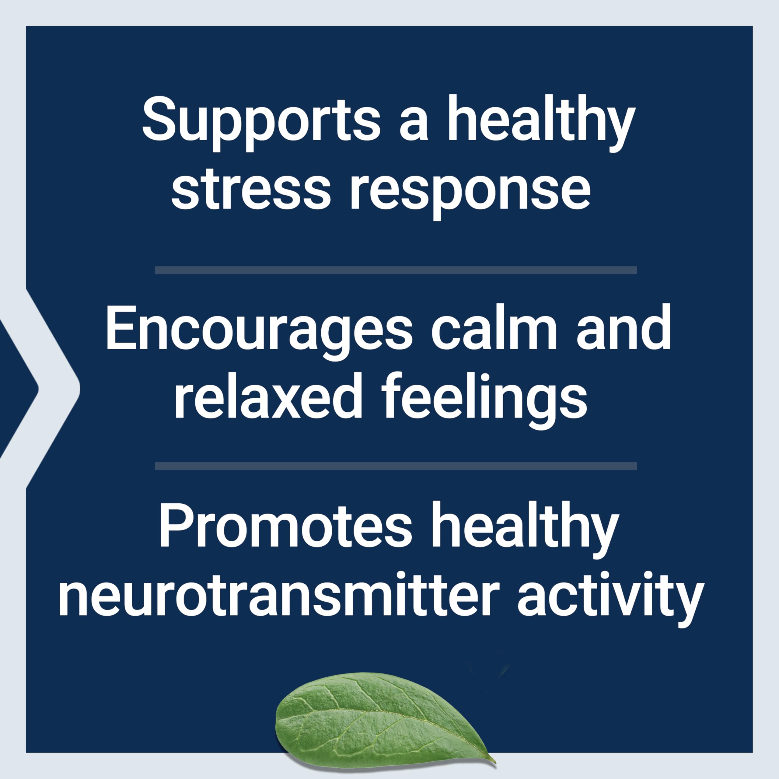 Life Extension Calm-Mag, Magnesium Acetyl taurinate, Daily Stress Management Formula, Supports Calmness and Relaxation, Gluten-Free, Non-GMO, Vegetarian, 30 Capsules Life ExtensionAu supplements