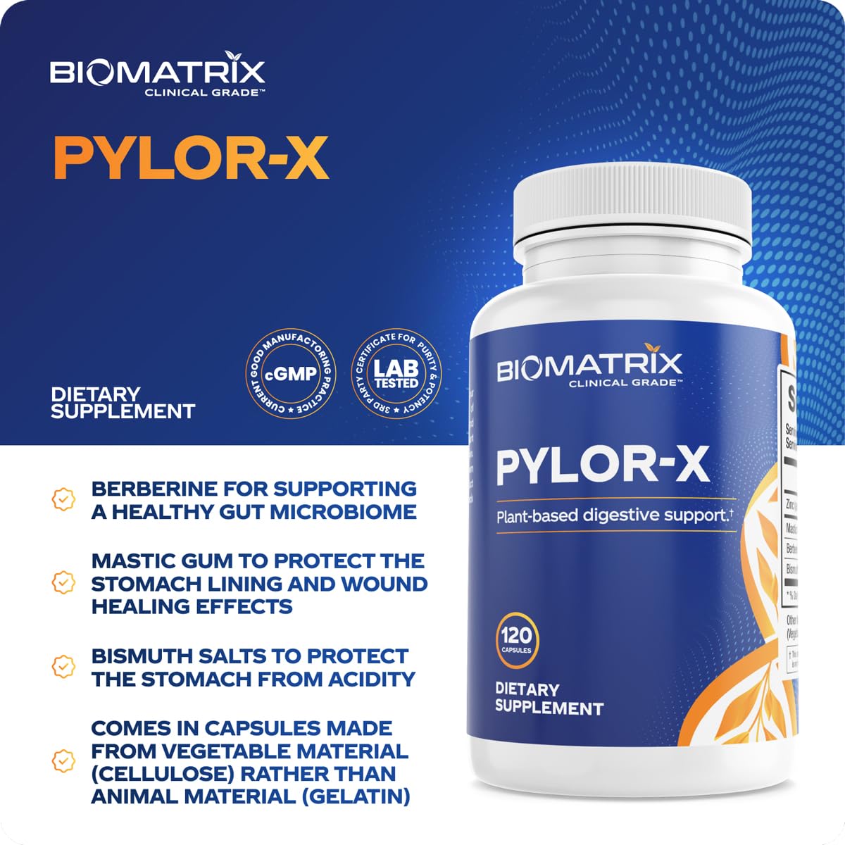 BioMatrix Pylor-X Gut Health Supplement – Mastic Gum, Berberine, Zinc Carnosine & Bismuth Salts for Gastric Support, Digestive Comfort, Stomach Lining Protection - (120 Capsules) 30-60 Day Supply BioMatrixAu supplements