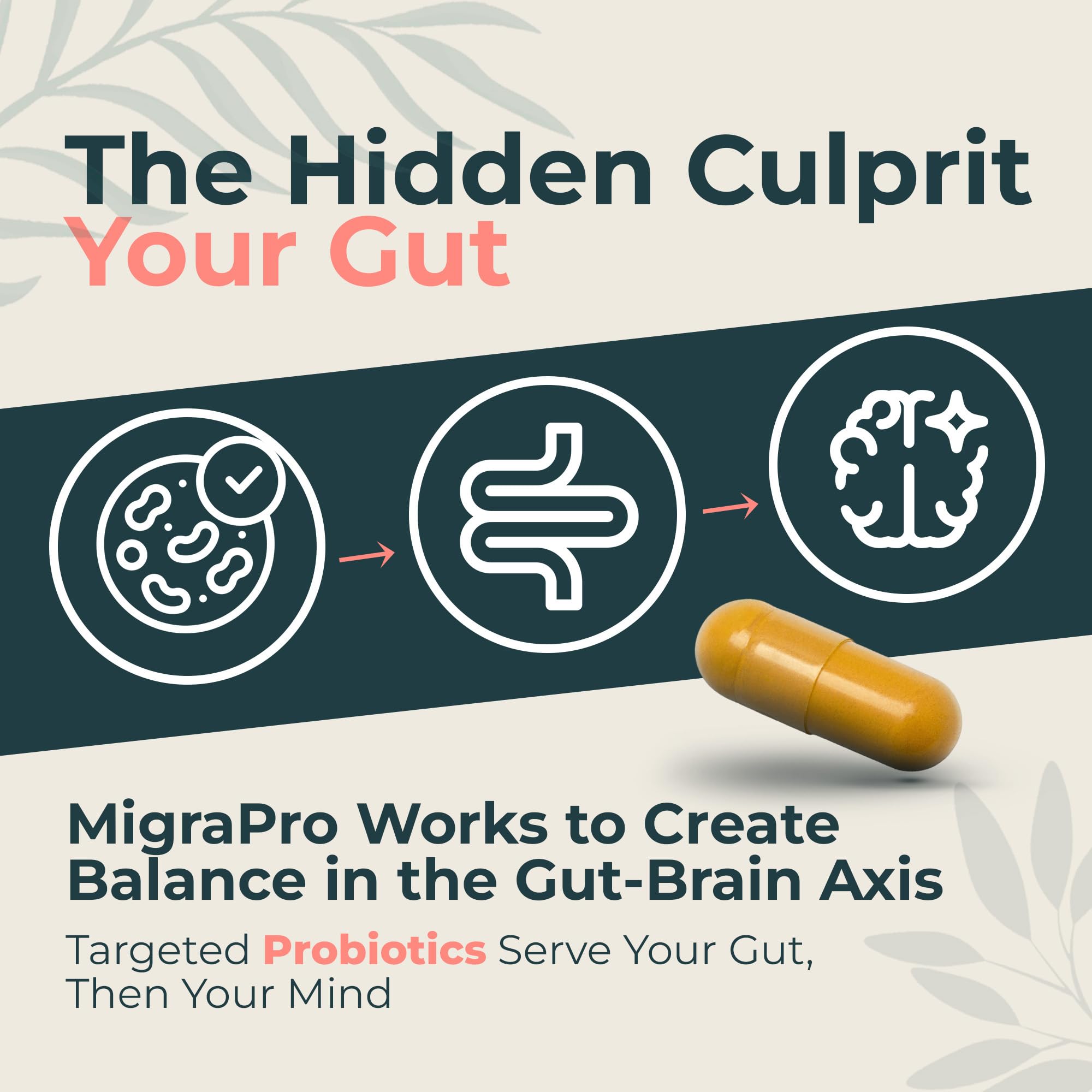 Dr. Munnerlyn MigraPro with Probiotics, Brain and Gut Health Support Supplement with Magnesium, Riboflavin, CoQ10, Ginger Root, Asian Ginseng, Vitamin C, Feverfew & Turmeric, Gluten Free, 90 Capsules Dr. MunnerlynAu supplements