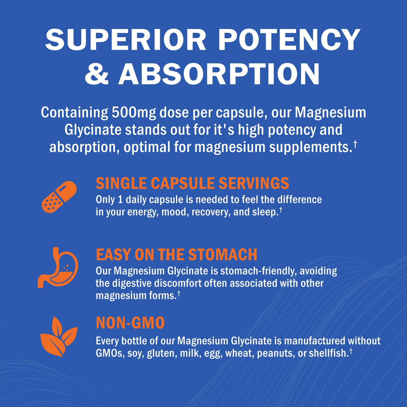 Magnesium Glycinate - High Absorption Magnesium Supplement 500mg Per Serving for Stress Relief, Sleep, Heart and Bone Health, Nerve Support - Non-GMO, Gluten-Free, Gentle on Stomach, 240 Capsules GOODBIOAu supplements