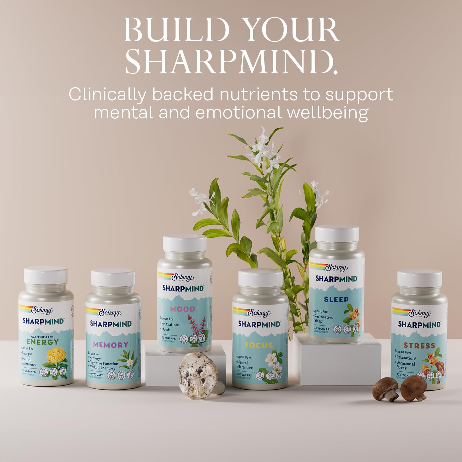 SOLARAY SharpMind Focus, Mental Alertness Nootropic Supplement for Healthy Brain Fog, Cognizin Citicoline, Lions Mane Mushroom, Bacopa Monnieri, 60 Day Money Guarantee, 60 Serv 60 Veg Caps SOLARAYAu supplements