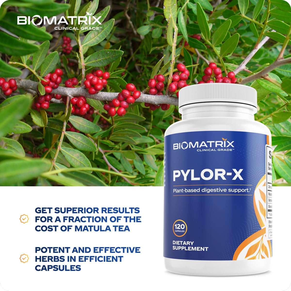 BioMatrix Pylor-X Gut Health Supplement – Mastic Gum, Berberine, Zinc Carnosine & Bismuth Salts for Gastric Support, Digestive Comfort, Stomach Lining Protection - (120 Capsules) 30-60 Day Supply BioMatrixAu supplements