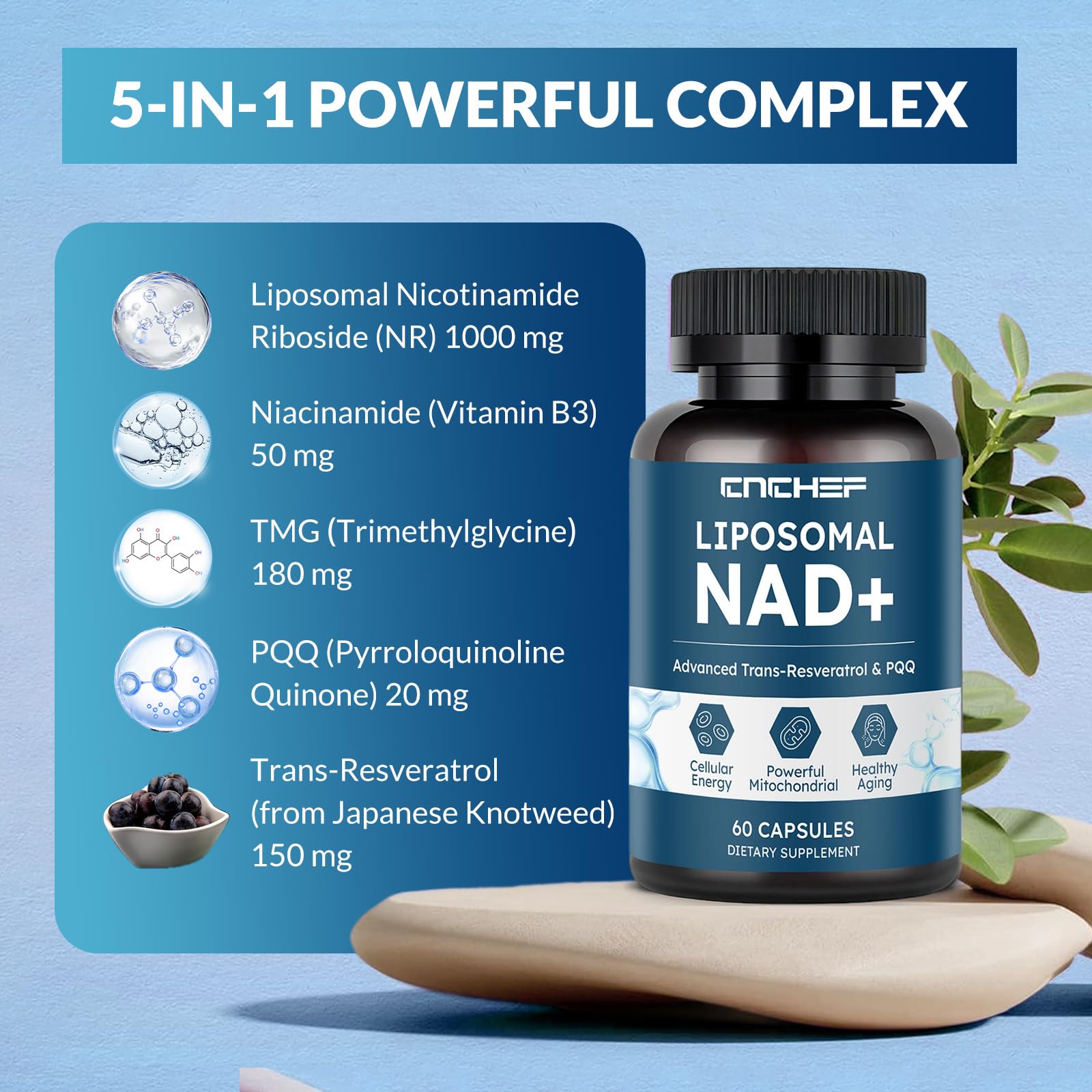 CNCHEF Liposomal NAD Supplement -1000mg, NAD Resveratrol Supplement for Women & Men with Nicotinamide Riboside, Resveratrol, PQQ & TMG, NAD Plus Boosts NAD+ Levels, Anti-Aging & Brain, 60 Capsules CNCHEFAu supplements