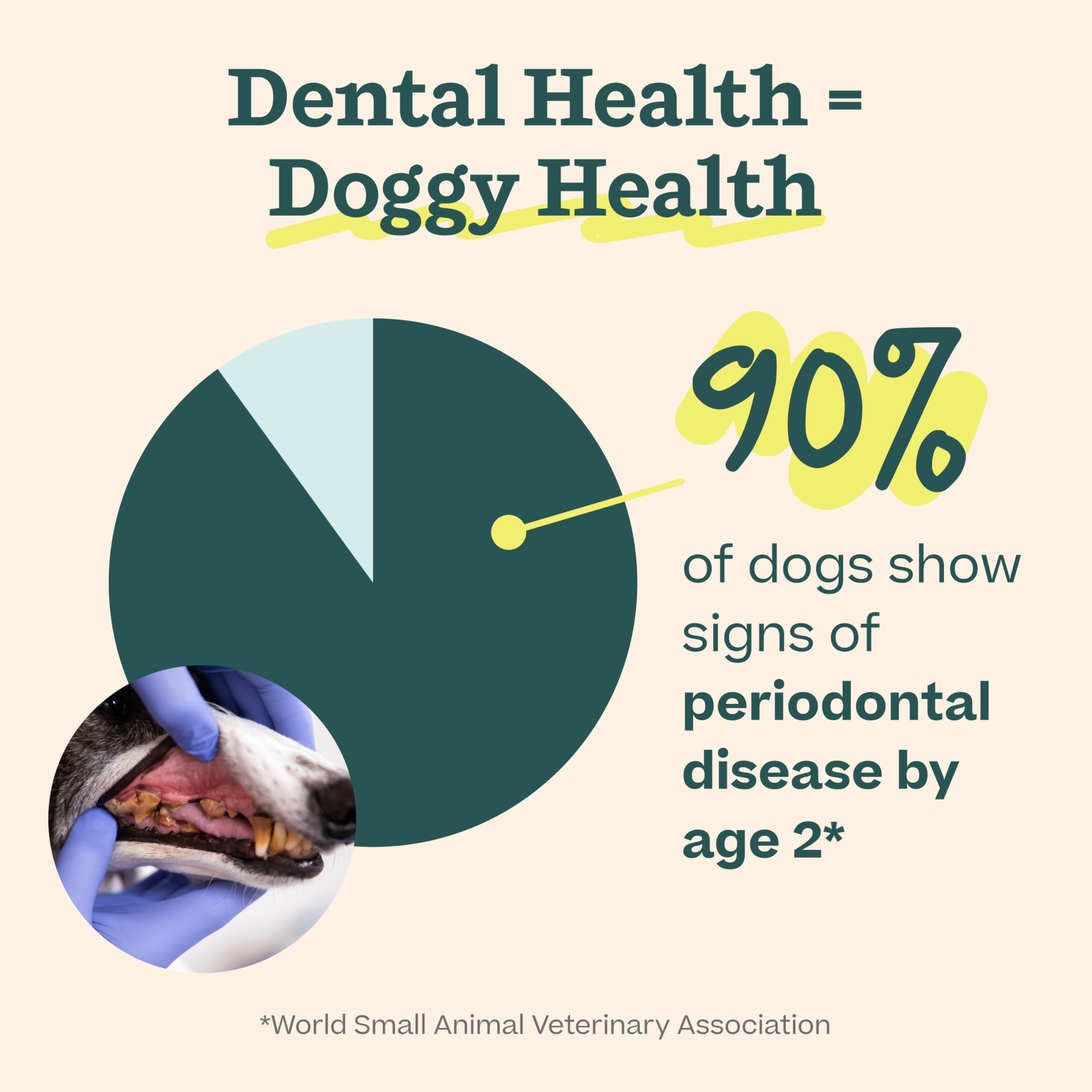 Woof Doggy Dental Pupsicle Mix - Dog Teeth Cleaning Powder for The Pupsicle - Long Lasting Postbiotic Dental Enzyme Mix to Support Oral Health for Dogs WOOFAu supplements