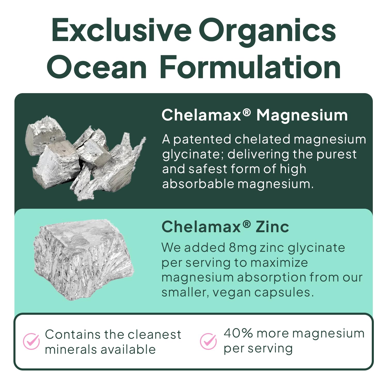 Organics Ocean Pure Magnesium Glycinate with Zinc - Maximum Strength Chelated Magnesium Supplement for Women and Men for Muscle Cramps and Sleep Support - 3 Bottles Organics OceanAu supplements