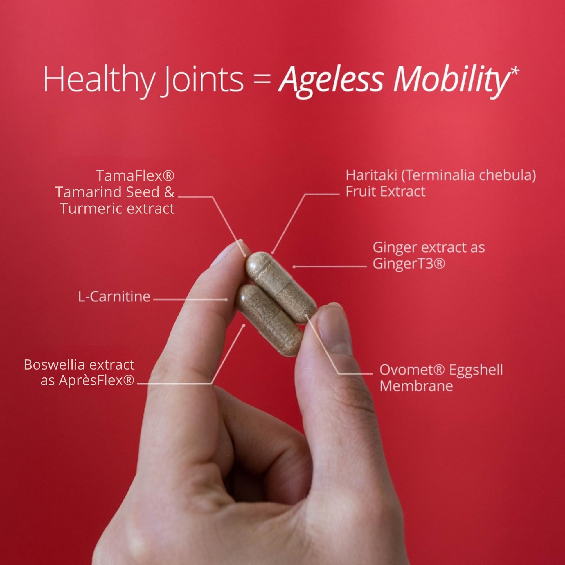 Qualia Joint Health 9 Advanced Joint Health nutrients: denatured Collagen, boswellia, tumeric, Boron, Ginger, L-carnitine. Cartilage Health, Tendon Strength, Healthy Joint Aging (1 Month Supply) QUALIA LIFE SCIENCESAu supplements