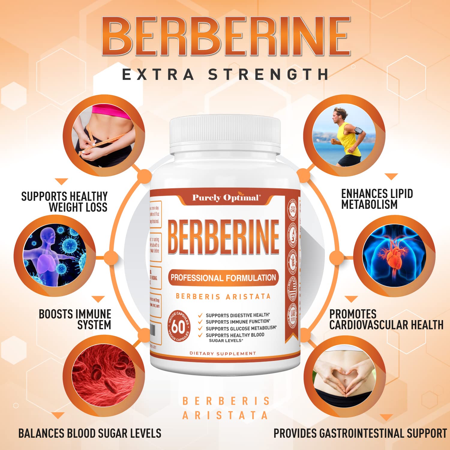 Purely Optimal Premium Berberine Supplement - 1200mg Berberine HCl, Non-GMO Purely OptimalUS supplements