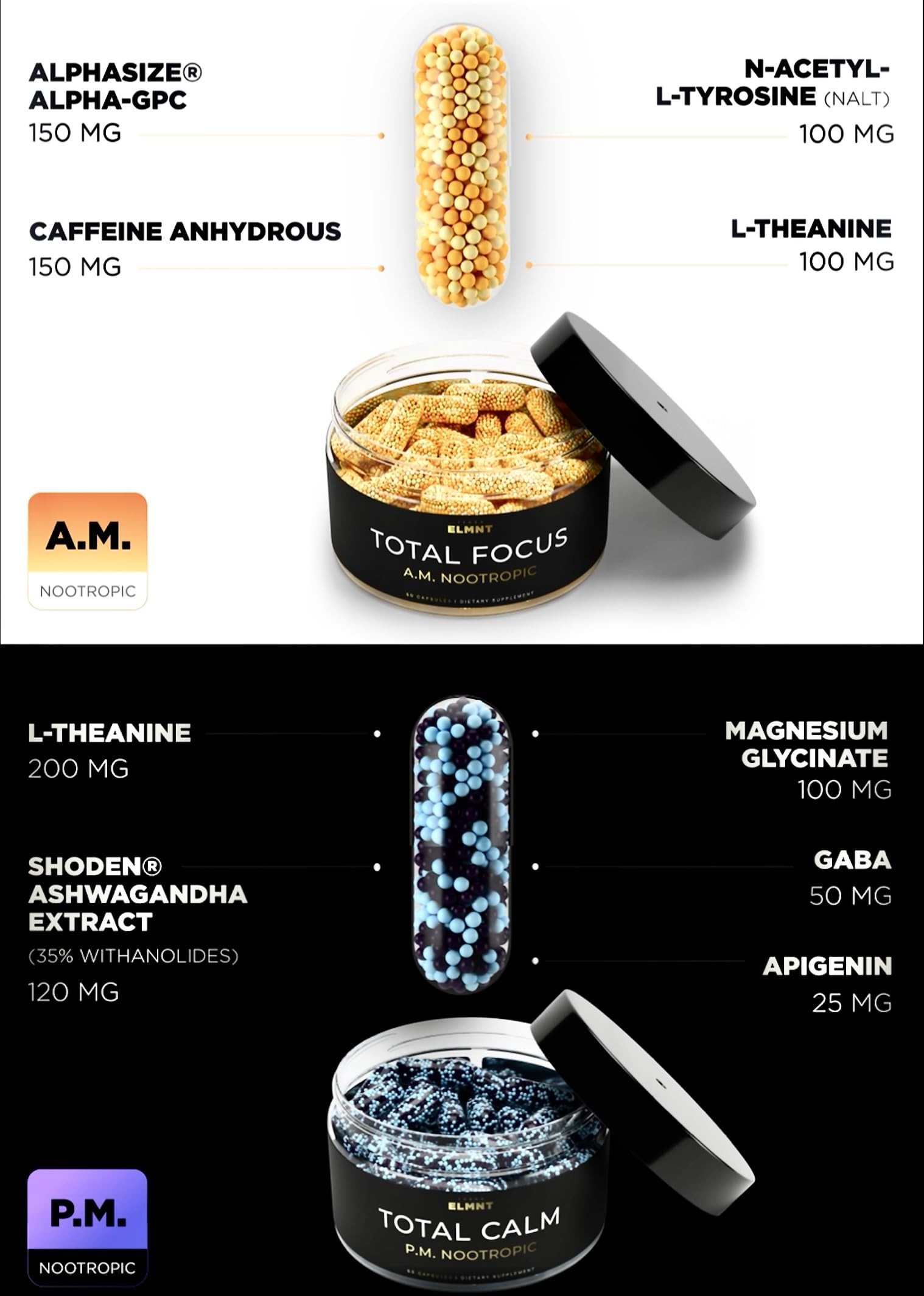AMPM Nootropic Total Focus + Calm 9X Strength w. Caffeine, L-Theanine, Alpha GPC, L-Tyrosine, Ashwagandha - X-Release Energy Pills Nootropics Brain Support Supplements for Memory and Focus Supplement TERRA ELMNTAu supplements