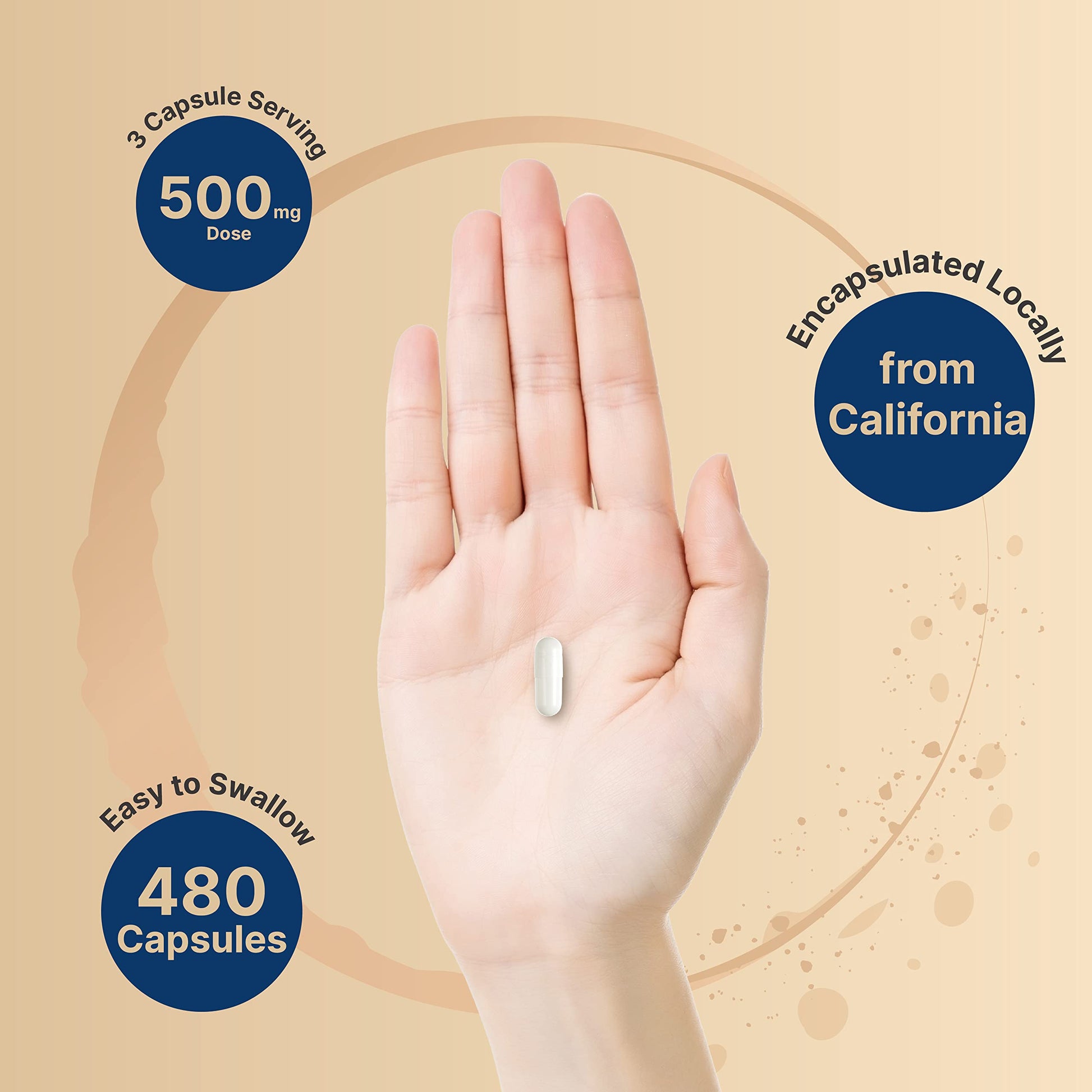 2 Pack Magnesium Citrate 500mg, 480 Capsules | High Purity Elemental Form NatureBellAu supplements