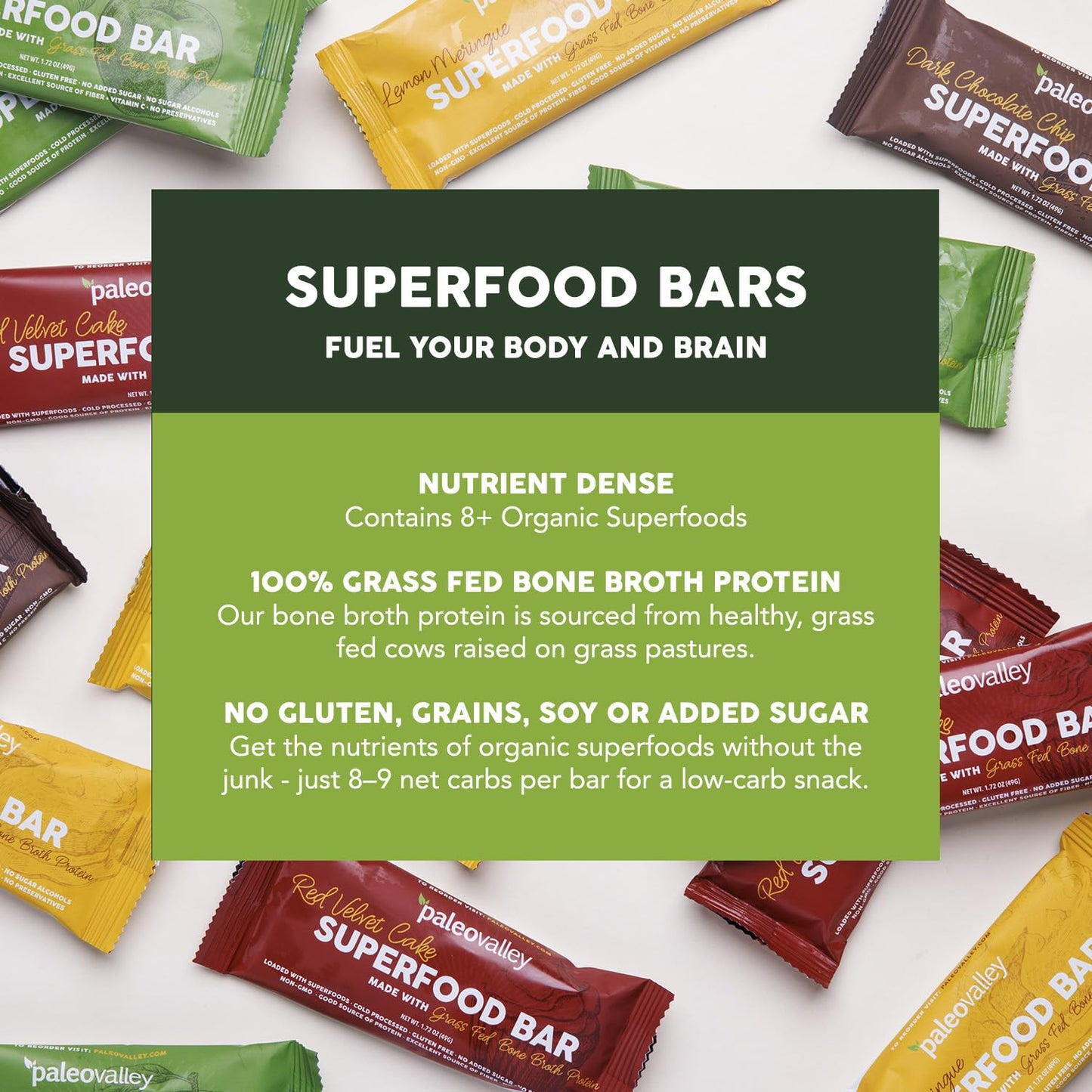 Paleovalley Superfood Bars – Apple Cinnamon– 10 Pack – 9g Protein per Bar – Gluten-Free, Grain-Free, Paleo, Non-GMO – On-the-Go Snack PaleovalleyUS supplements