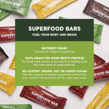 Paleovalley Superfood Bars – Apple Cinnamon– 10 Pack – 9g Protein per Bar – Gluten-Free, Grain-Free, Paleo, Non-GMO – On-the-Go Snack PaleovalleyUS supplements