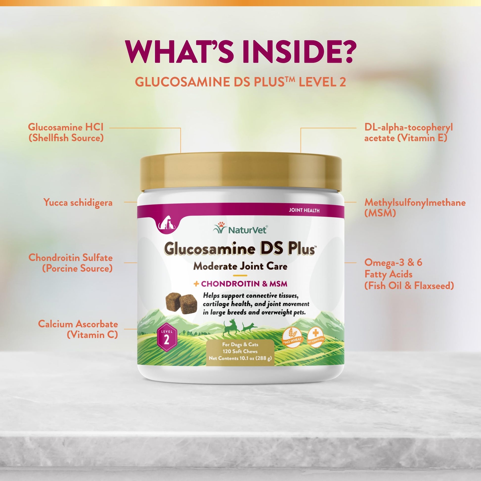 NaturVet – Glucosamine DS Plus - Level 2 Moderate Care – Supports Healthy Hip & Joint Function – Enhanced with Glucosamine, MSM & Chondroitin – for Dogs & Cats–120 Soft Chews NaturVetAu supplements