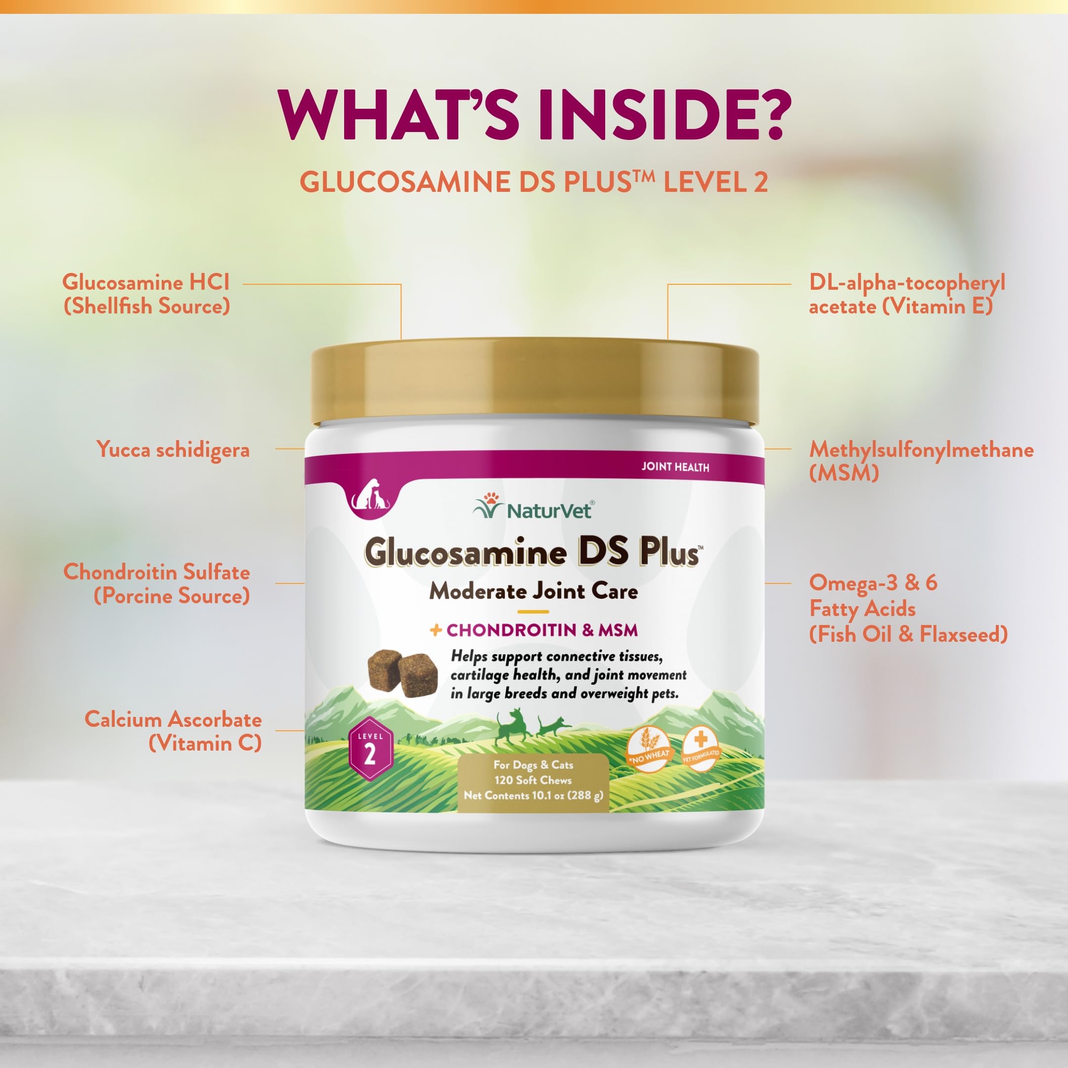 NaturVet – Glucosamine DS Plus - Level 2 Moderate Care – Supports Healthy Hip & Joint Function – Enhanced with Glucosamine, MSM & Chondroitin – for Dogs & Cats–120 Soft Chews NaturVetAu supplements