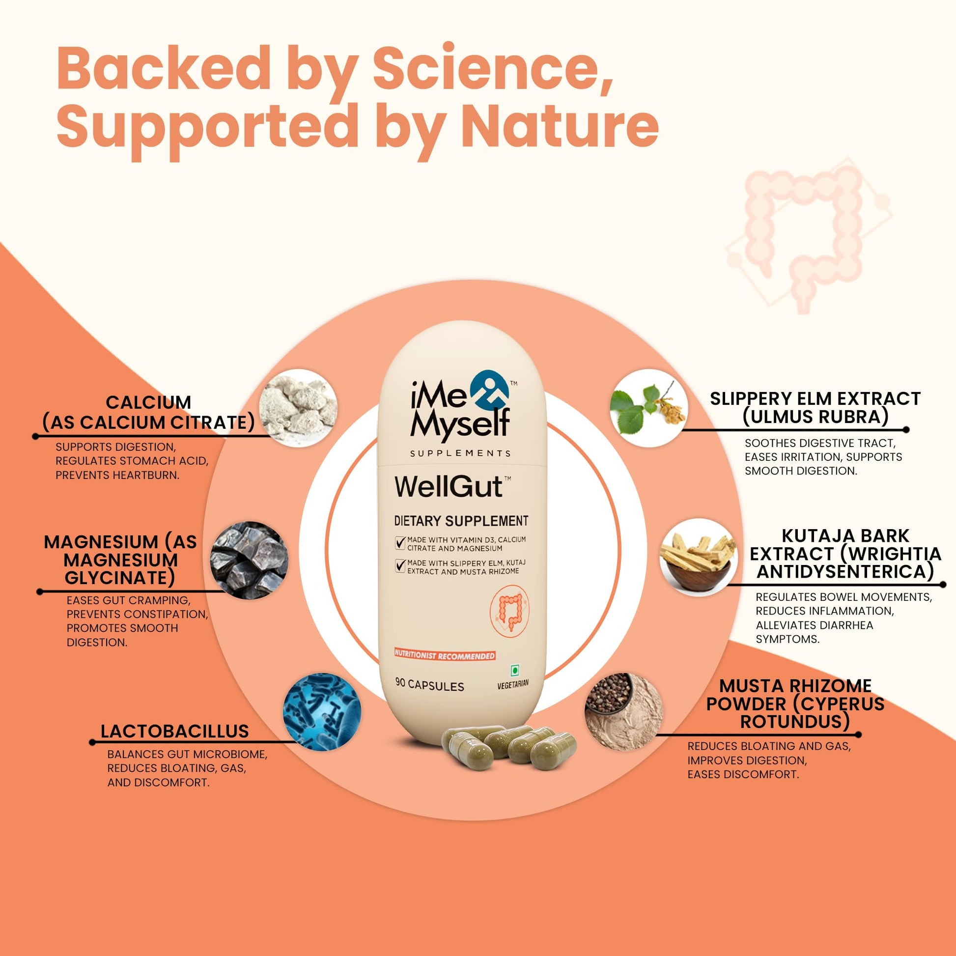 iMeMyself WellGut Daily Herbal Supplement | Traditional Herbs with Minerals & Probiotics 90 Vegan Capsules iMeMyselfAu supplements