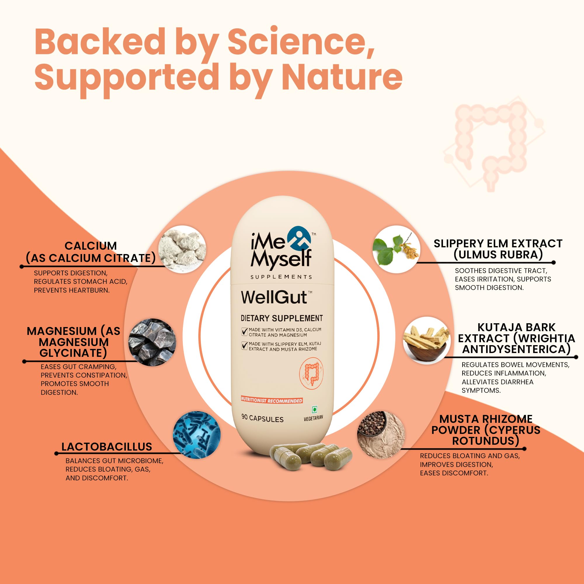 iMeMyself WellGut Daily Herbal Supplement | Traditional Herbs with Minerals & Probiotics 90 Vegan Capsules iMeMyselfAu supplements