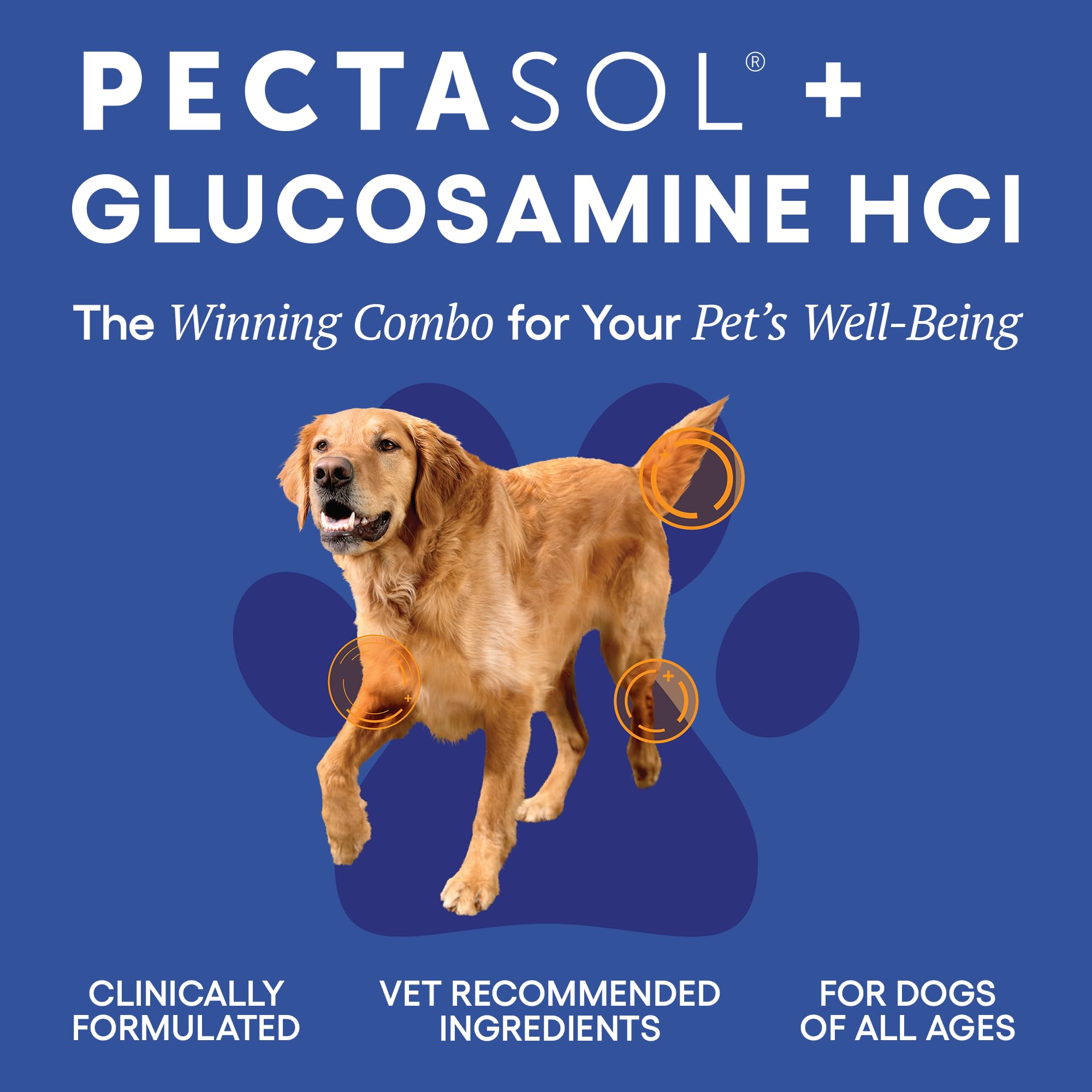 ecoNugenics PectaPaws Chewable Dog Supplements – Beef Flavor, 90 Count – PectaSol Modified Citrus Pectin + Glucosamine HCI for Dogs of All Ages, Supports Mobility, Joints, Immune Function, Pain Relief EcoNugenicsAu supplements