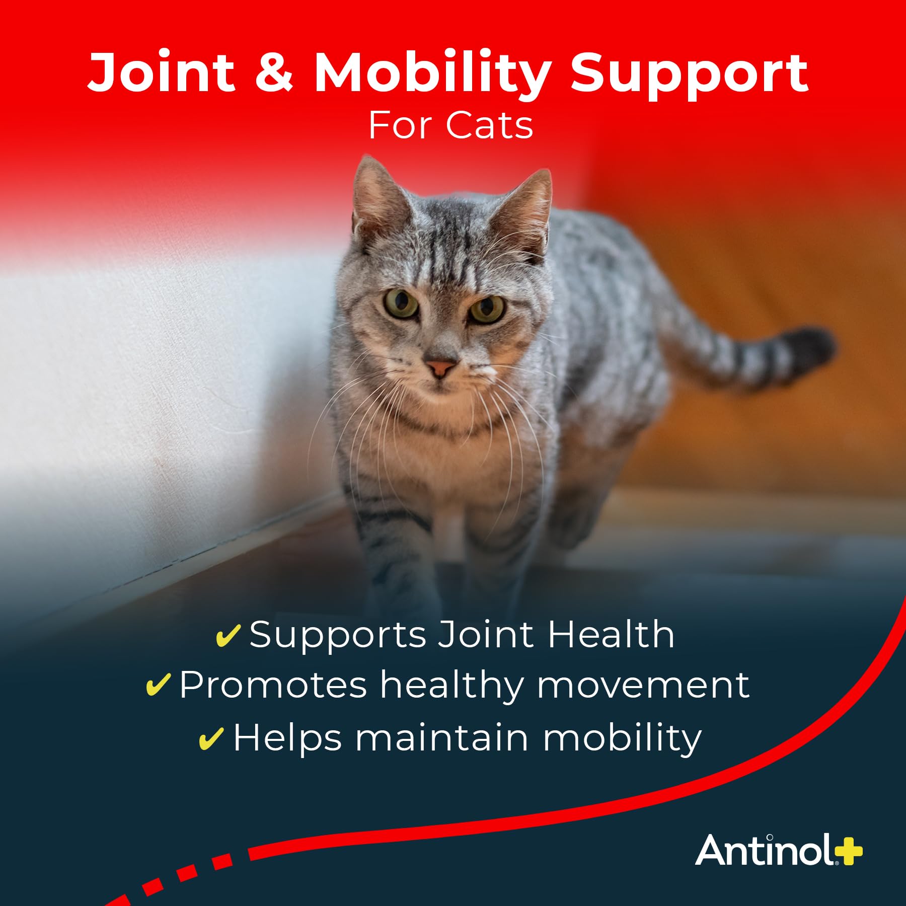 Antinol Plus, Mobility, Hip, and Joint Supplement for Cats, Green-Lipped Mussels and Krill Oil - Cat Joint Supplement, 30 Soft Gels AntinolAu supplements