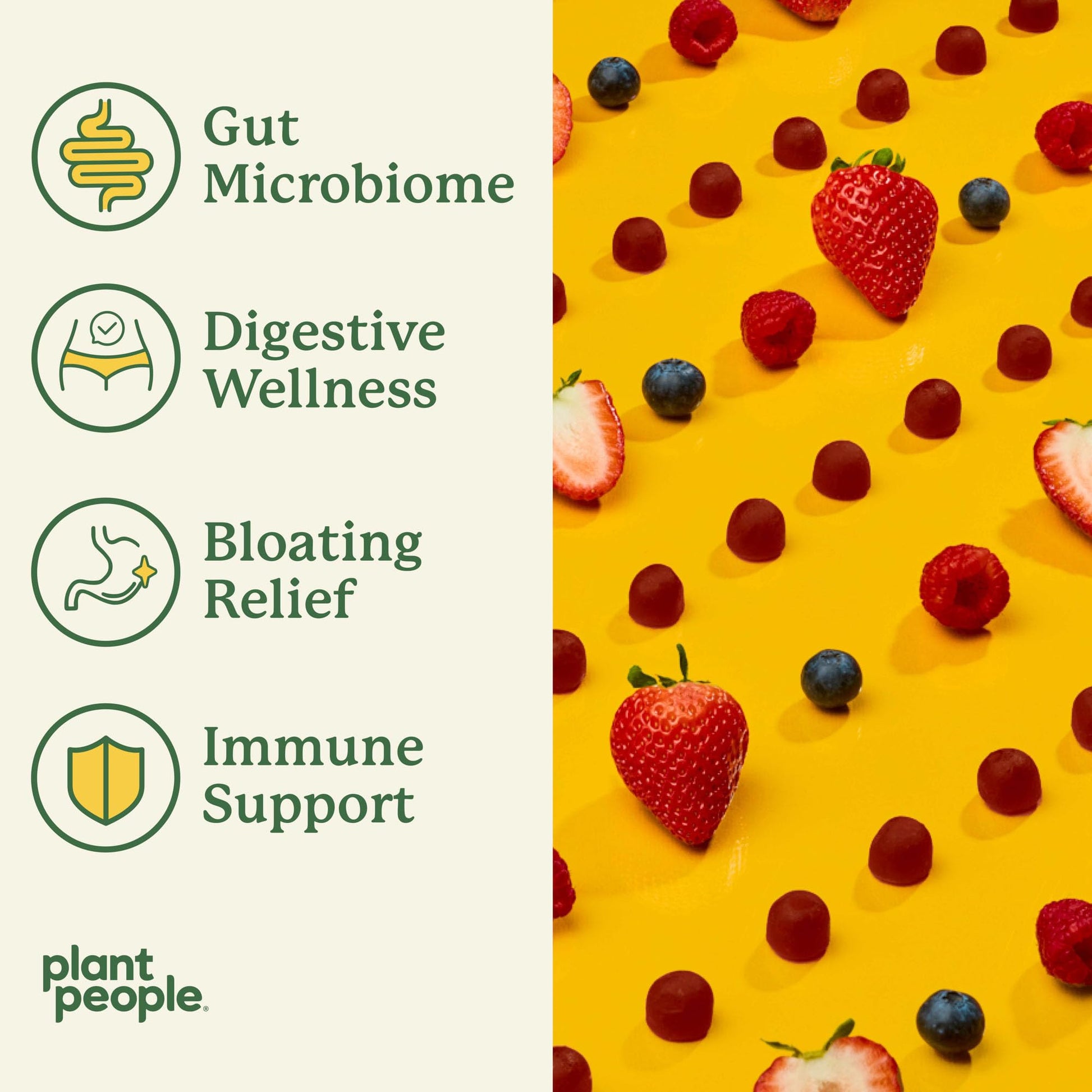 Plant People WonderBiome 2-in-1 Prebiotic + Probiotic Gummies – Zero-Sugar Vegan Digestive Health & Bloating Relief – 5 Billion CFU Bacillus Subtilis DE111 + Artichoke & Chicory – 60 Count Plant PeopleAu supplements