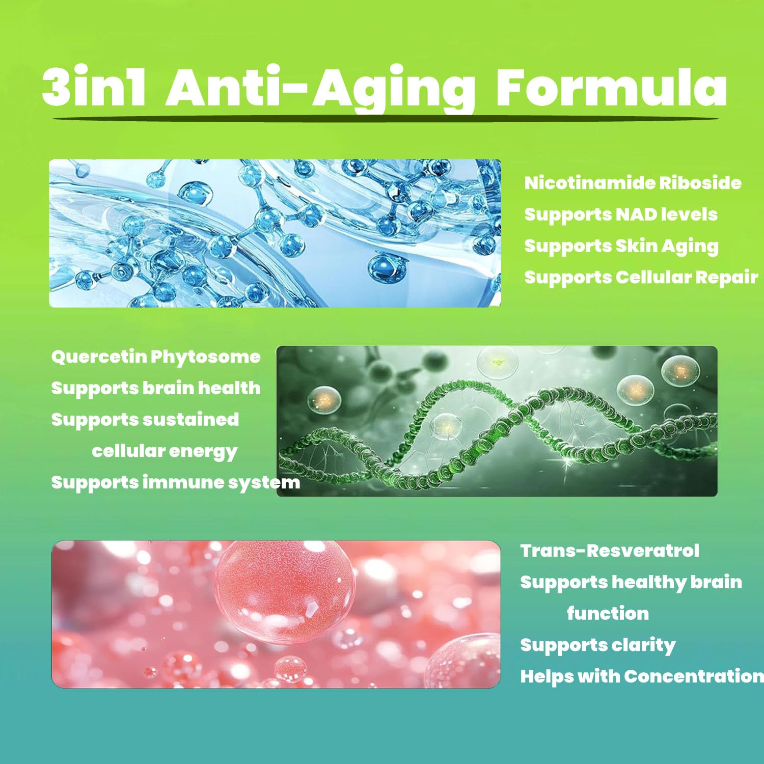 Renyqatt NAD+ Supplement - Liposomal Nicotinamide Riboside - Supplement for Anti-Aging, Energy, Focus - 80 Capsules（1B） RenyqattAu supplements