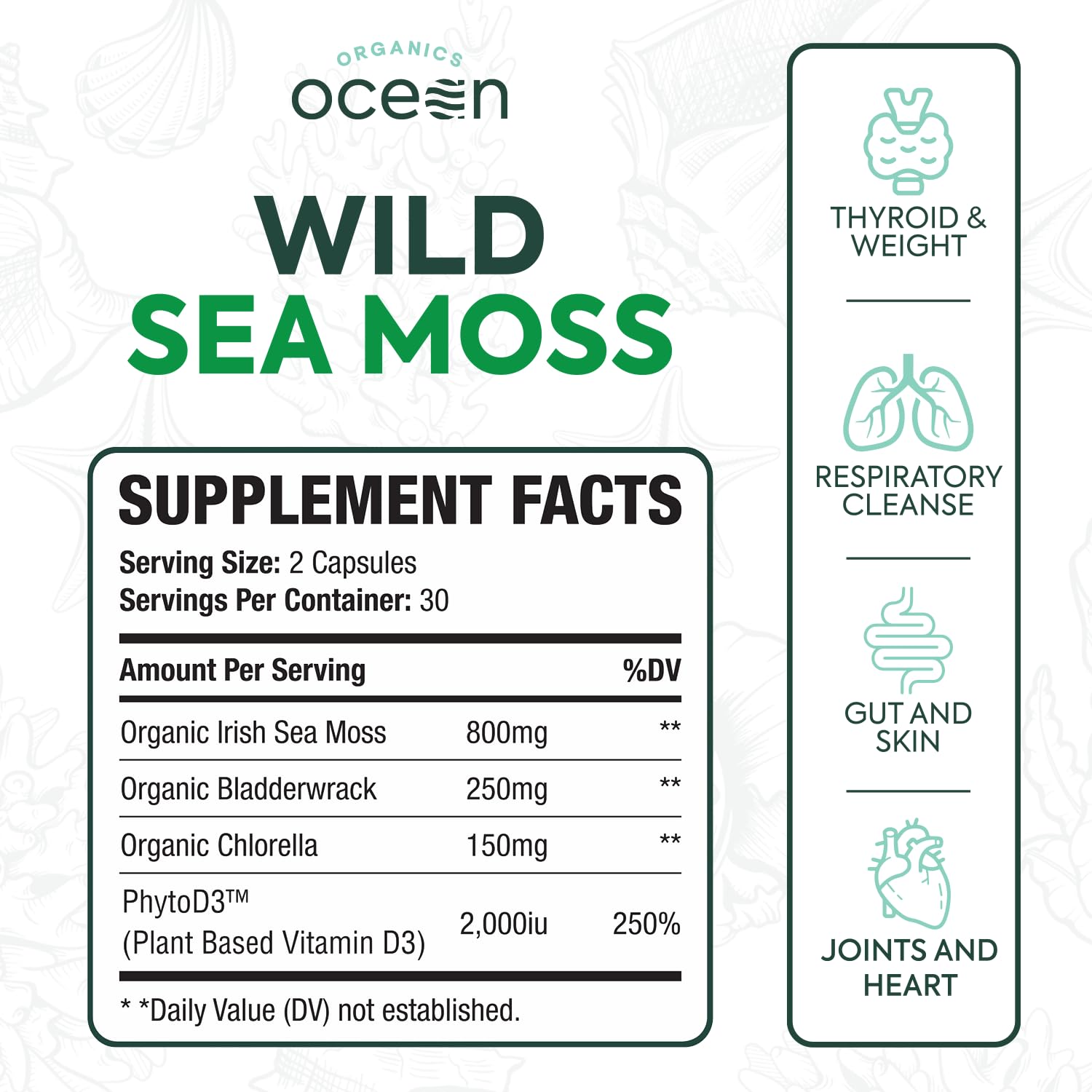 Organics Ocean Wild Sea Moss Capsules - 100% Organic Irish Sea Moss with Organic Chlorella, Bladderwrack and Vitamin D for Energy, Lung Health and Thyroid Support for Women and Men - 60 Capsules Organics OceanAu supplements
