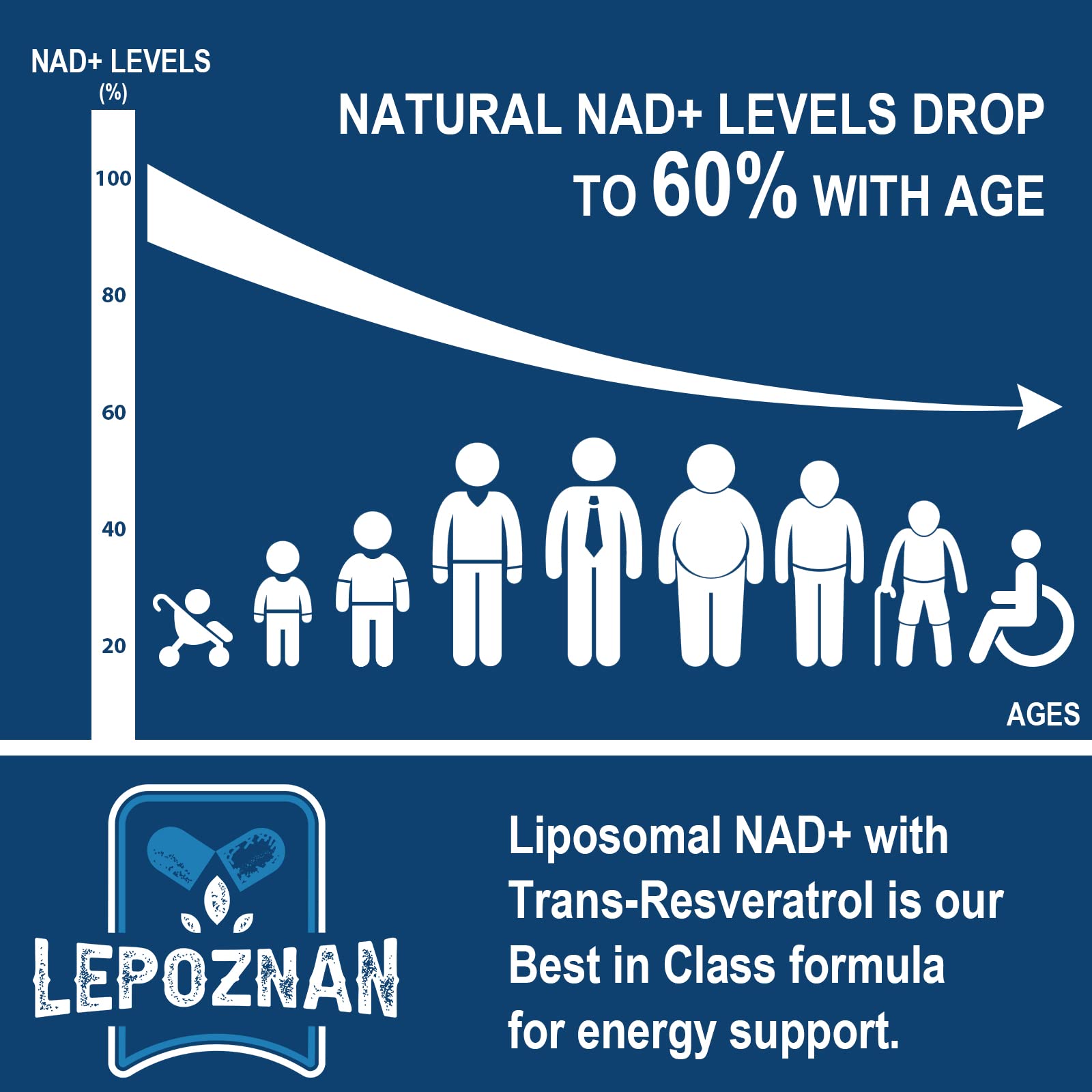 Lepoznan Liposomal NAD+ 500 mg + Trans-Resveratrol 300 mg, Superior Absorption True NAD Supplement Efficient for Cellular Energy Metabolism & DNA Repair, 60 Softgels LepoznanAu supplements