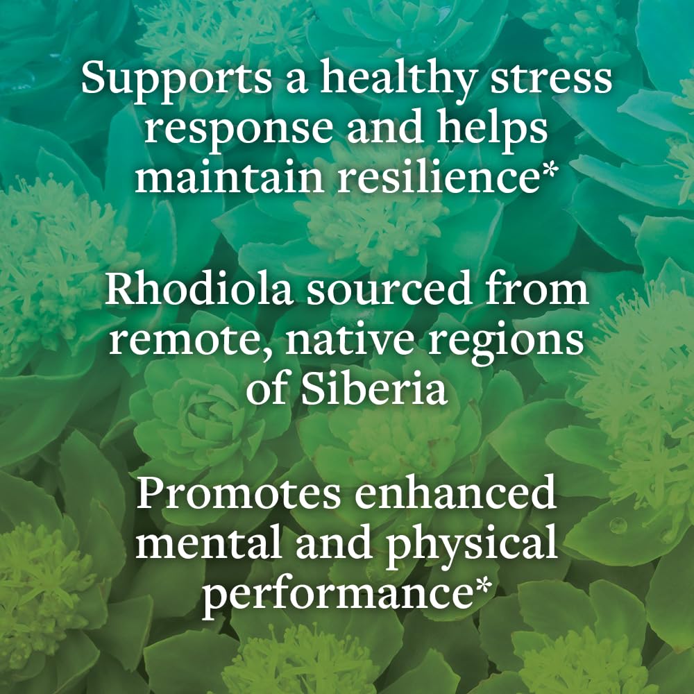 kokora Extra Strength Rhodiola Rosea – Stress Relief, Endurance & Promotes Mental & Physical Performance* - with Siberian Rhodiola, Rosavins, Organic Holy Basil - Vegan, Non-GMO - 60 Capsules kokoraAu supplements