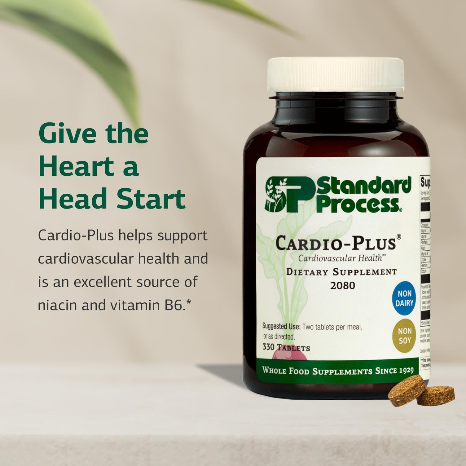 Standard Process Inc. Cardio-Plus - Antioxidant Support - Heart Health, Circulation & Blood Flow Supplement with Vitamin B6, Niacin & Riboflavin - Energy Metabolism Supplement - 330 Tablets Standard Process Inc.Au supplements