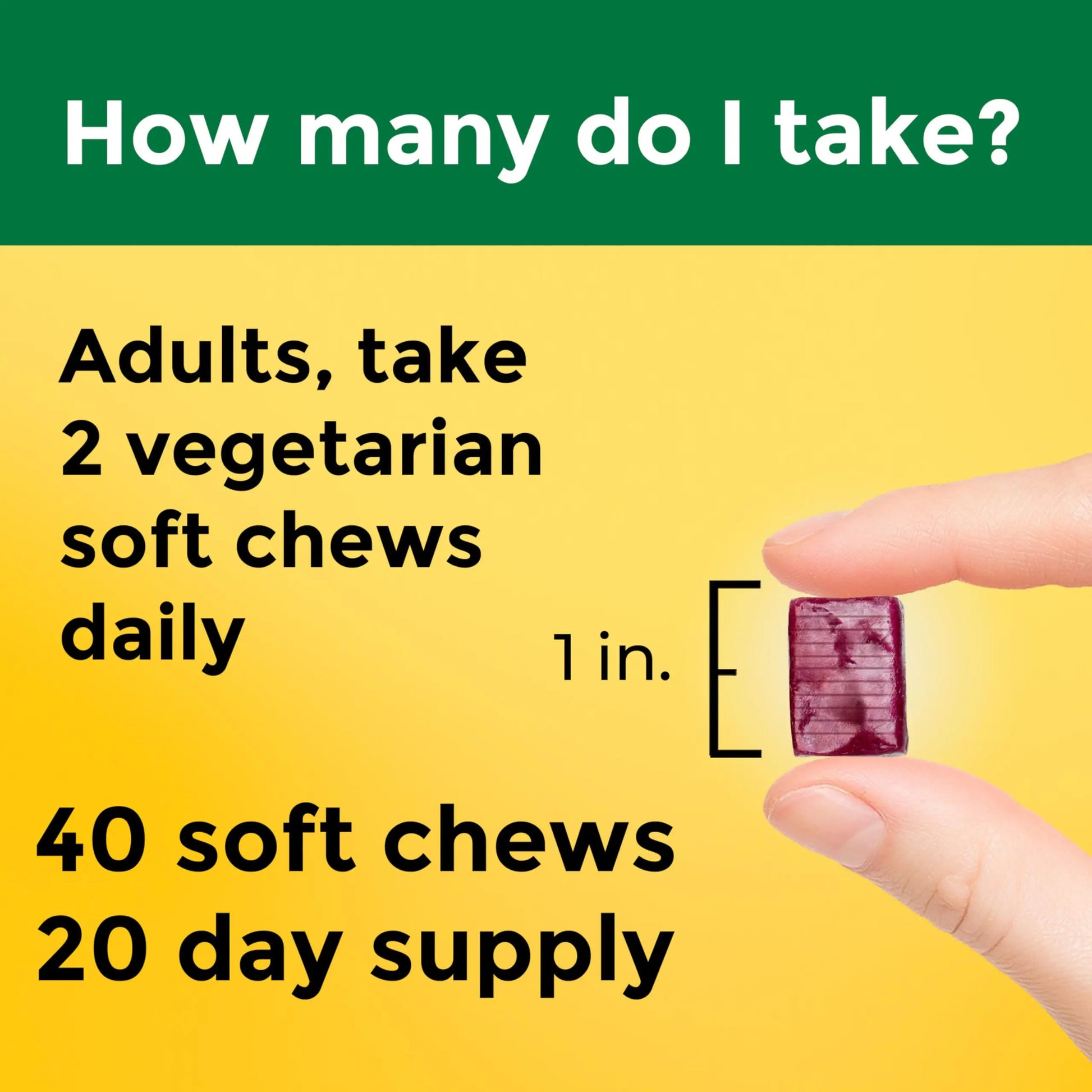 Nature Made High Absorption Magnesium Complex Soft Chews, Magnesium Supplement for Muscle, Heart, Bone Support, Magnesium Citrate & Malate Blend 250 mg per Serving, 40 Vegetarian Chews, 20 Day Supply Nature Madenz supplements