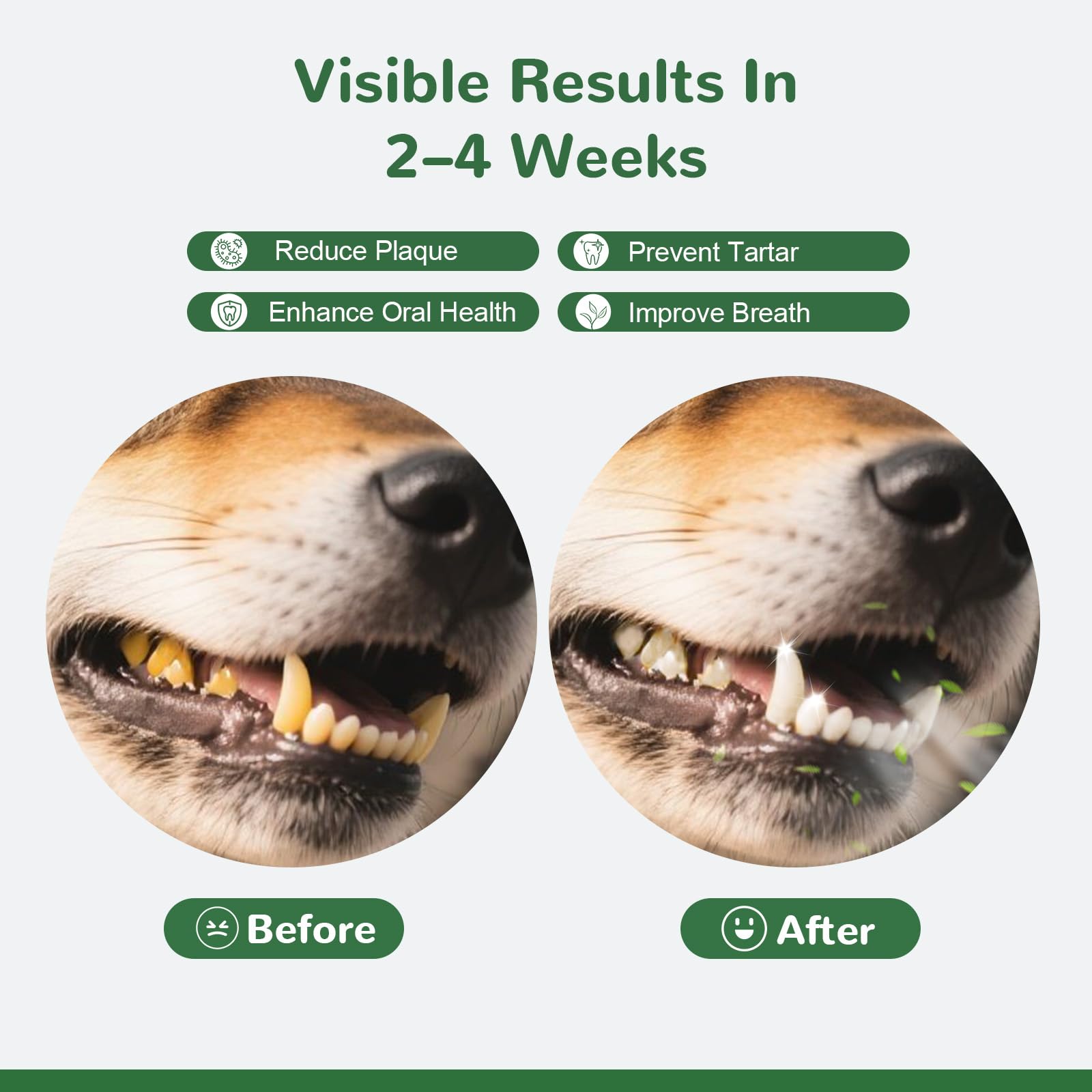 Vetriuntrix Dog Teeth Cleaning Powder, Dental Powder for Dogs Teeth Tartar Remove & Plaque Off, Fresh Breath for Dogs with Natural Plants Blend, Enzymes and Postbiotics, 300g VetriuntrixAu supplements