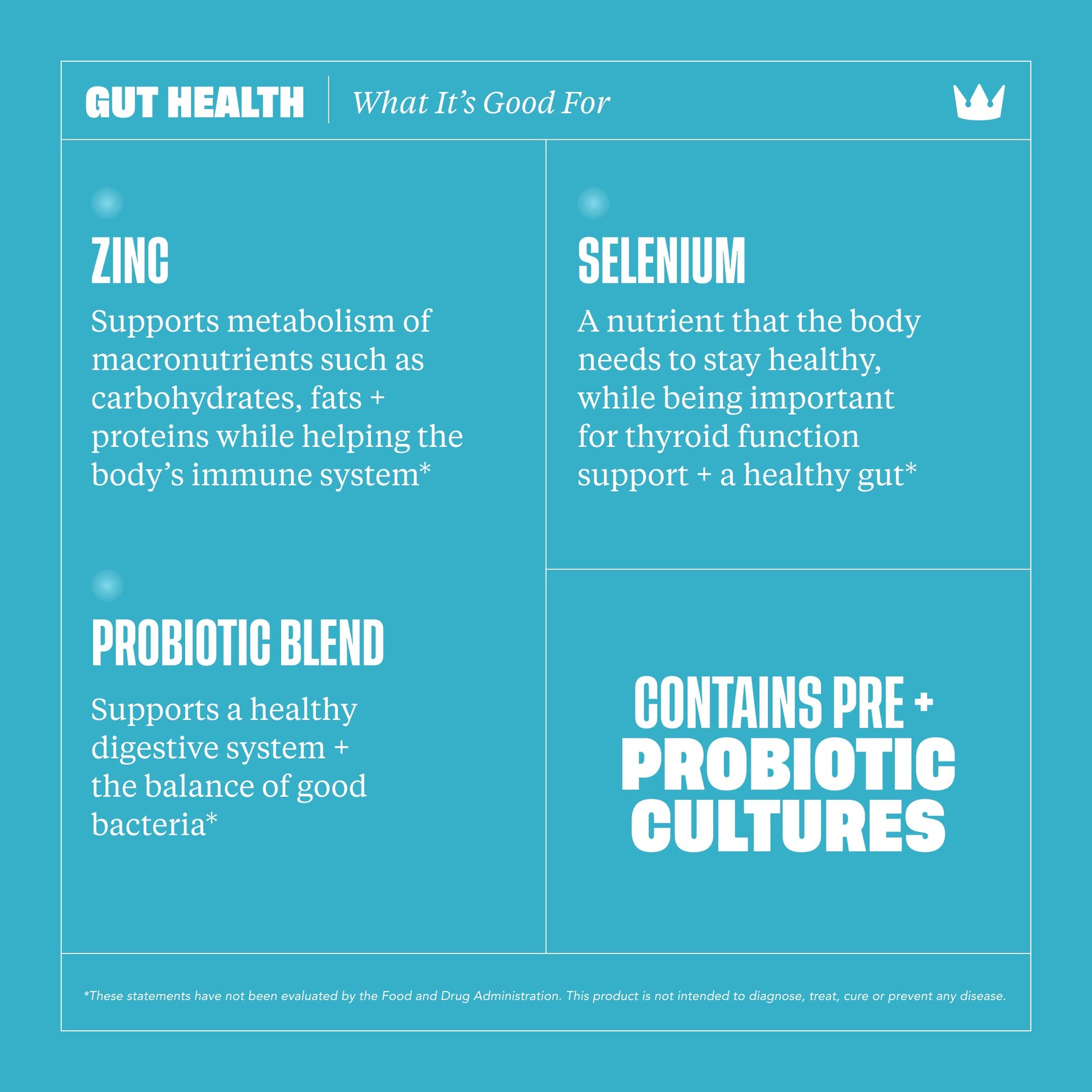 Health By Habit Gut Health Supplement (60 Capsules) - Contains 1.5 Billion probiotic Health By HabitAu supplements