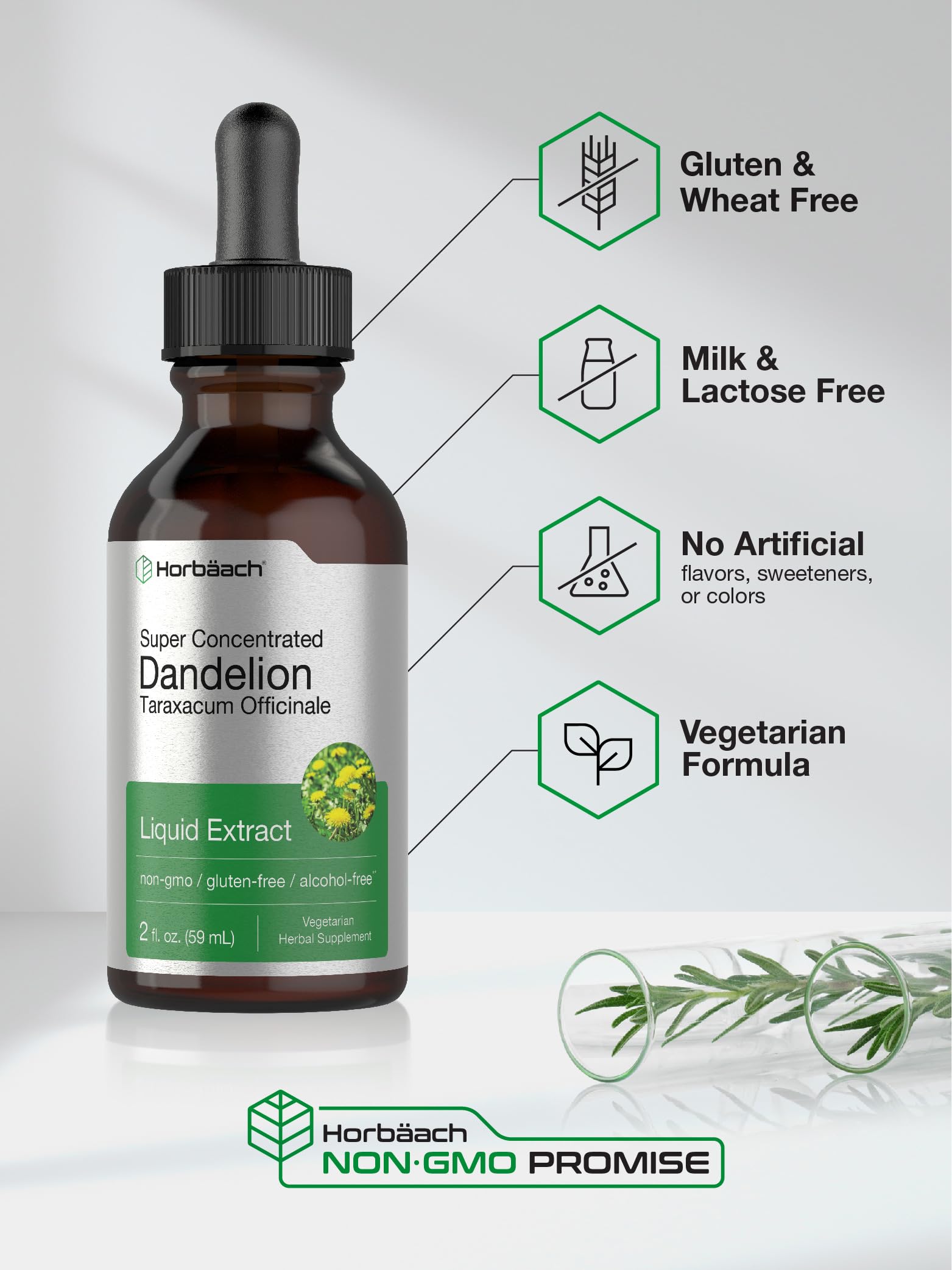 Dandelion Root Extract | 2 fl oz | Super Concentrated | Alcohol Free Liquid Tincture HorbäachAu supplements
