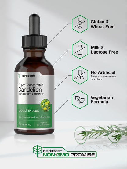 Dandelion Root Extract | 2 fl oz | Super Concentrated | Alcohol Free Liquid Tincture HorbäachUS supplements