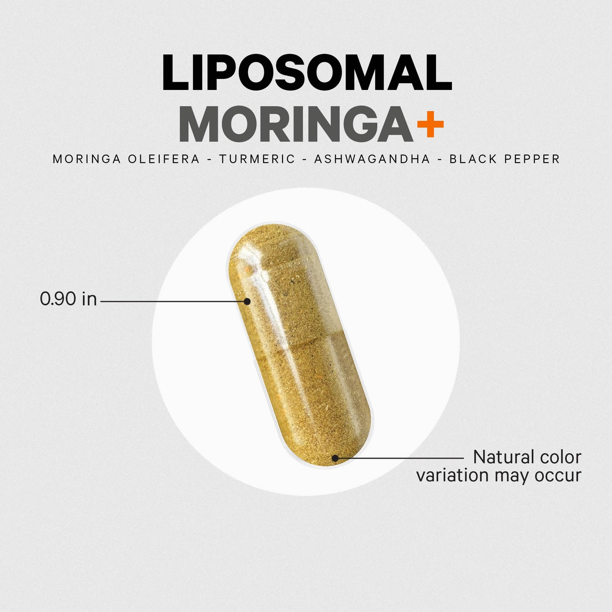 Codeage Liposomal Moringa+ Supplement, 400mg Moringa 50:1 Extract - Turmeric, Ashwagandha, Black Pepper, 3-Month Supply, Vegan Moringa Powder - 180 Capsules CodeageAu supplements