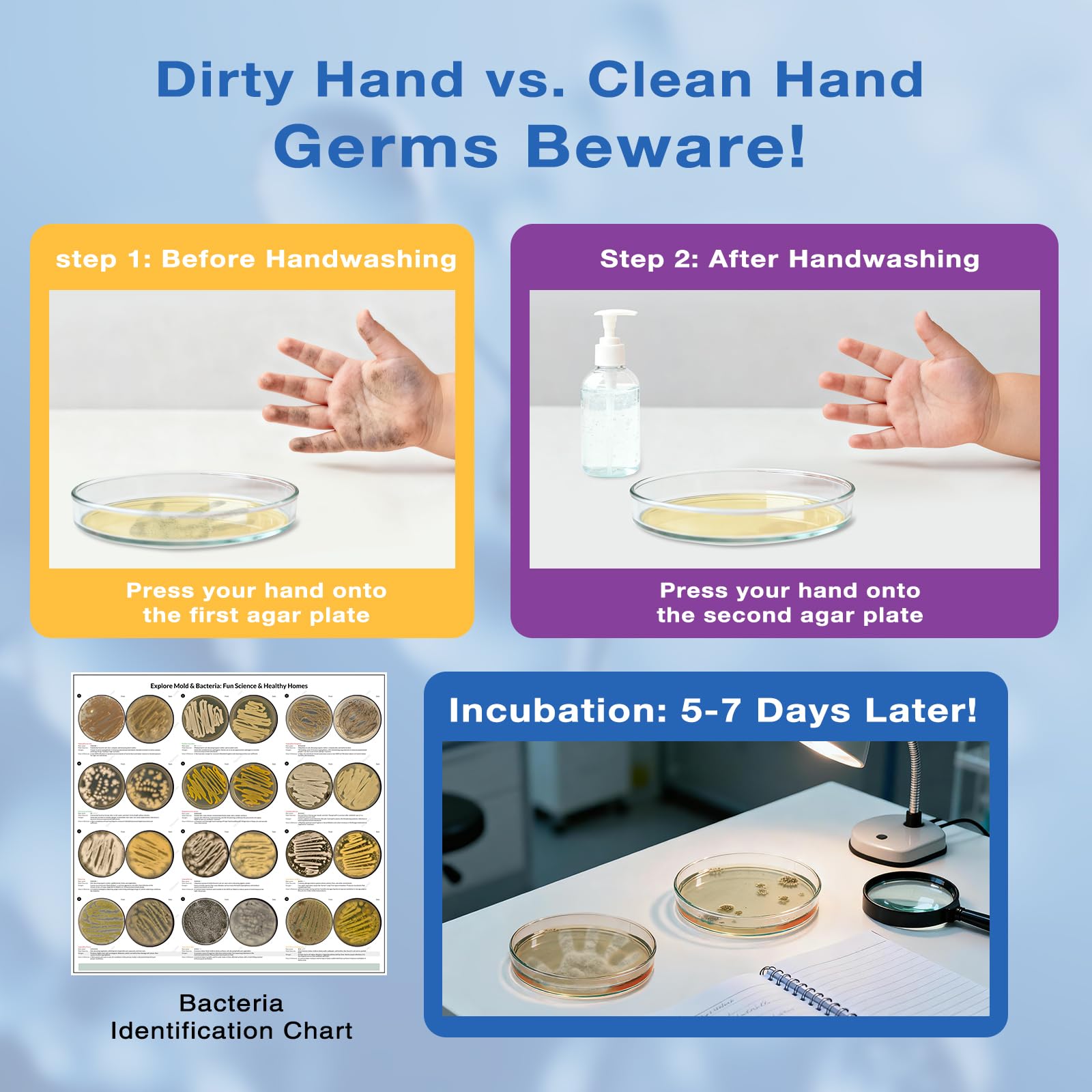 Giant Microbiology Bacteria Science Kit for Kids:2 XL 150mm Prepoured Nutrient Agar Plates, Petri Dishes with Agar & Colony Characteristics Poster for School Projects & Educational Gifts MosynexAu supplements
