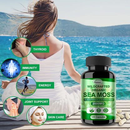 Fleamart Irish Sea Moss Capsules 120ct Raw Organic Sea Moss Wildcrafted Bladderwrack FleamartUS supplements