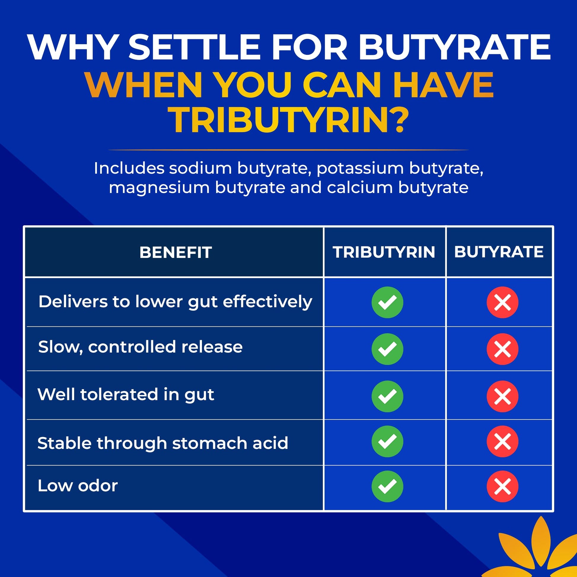 Tributyrin Supplement - Better Delivery & More Effective than Sodium Butyrate - Gut Health & Digestive Support - 3-in-1 Butyrate Postbiotics for Leaky Gut & Gut Barrier Support - 30 Capsules Vita Bloom LabsAu supplements