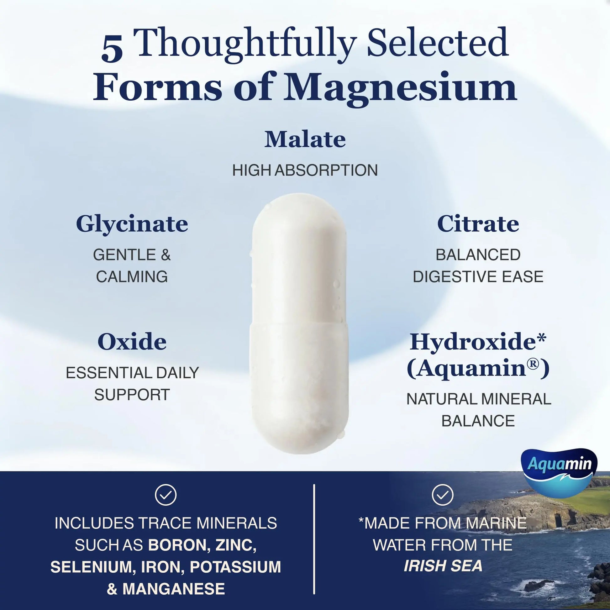 ZnS Health Spectrum 5 Magnesium Complex for Women & Men – 5 Magnesium Complex Supplement with Glycinate, Malate, Citrate & Hydroxide for Sleep, Muscle Recovery & Calm – 500mg Vegan – 60 Capsules ZnS Healthnz supplements