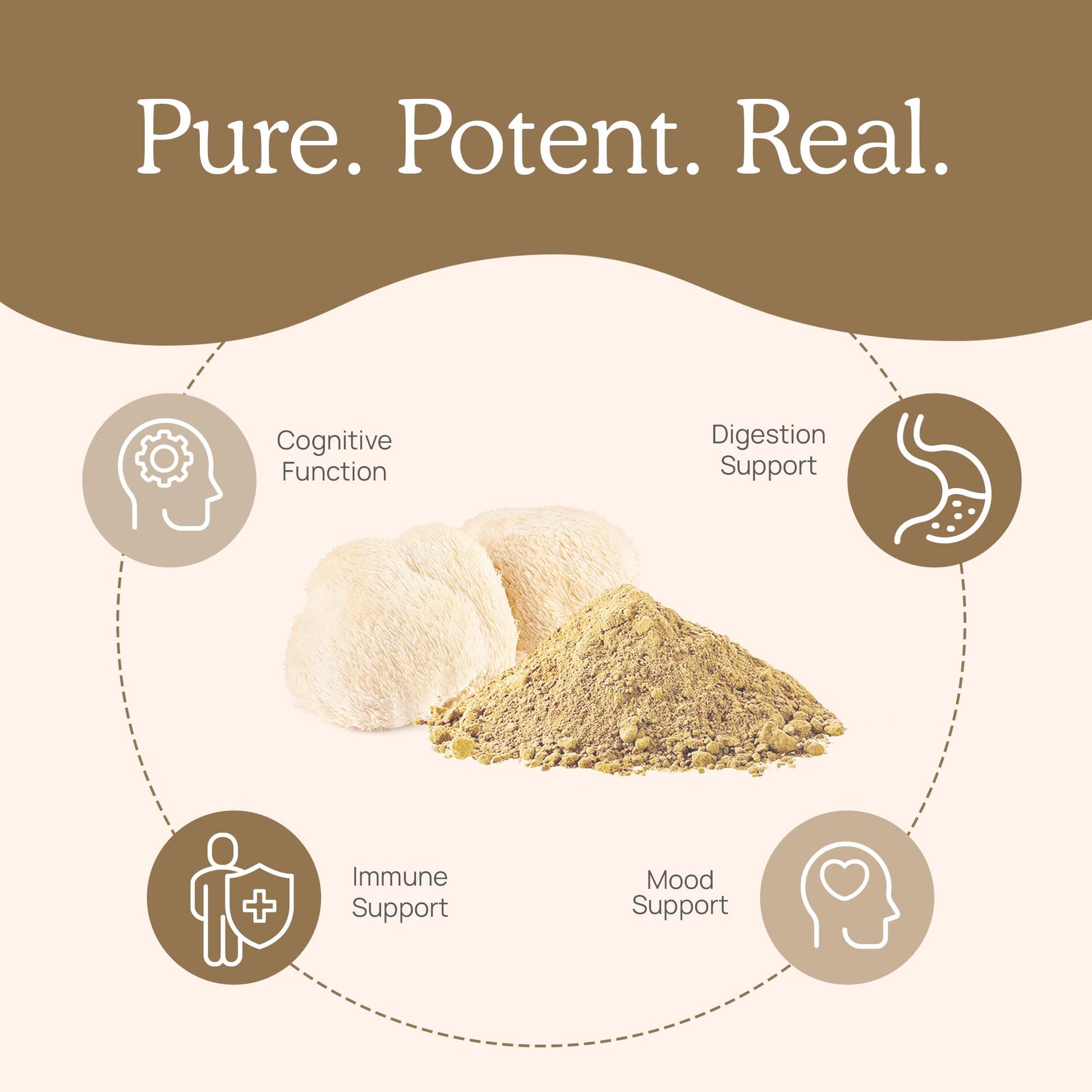 Real Mushrooms Lion’s Mane Capsules - Organic Lions Mane Mushroom Extract Real MushroomsAu supplements