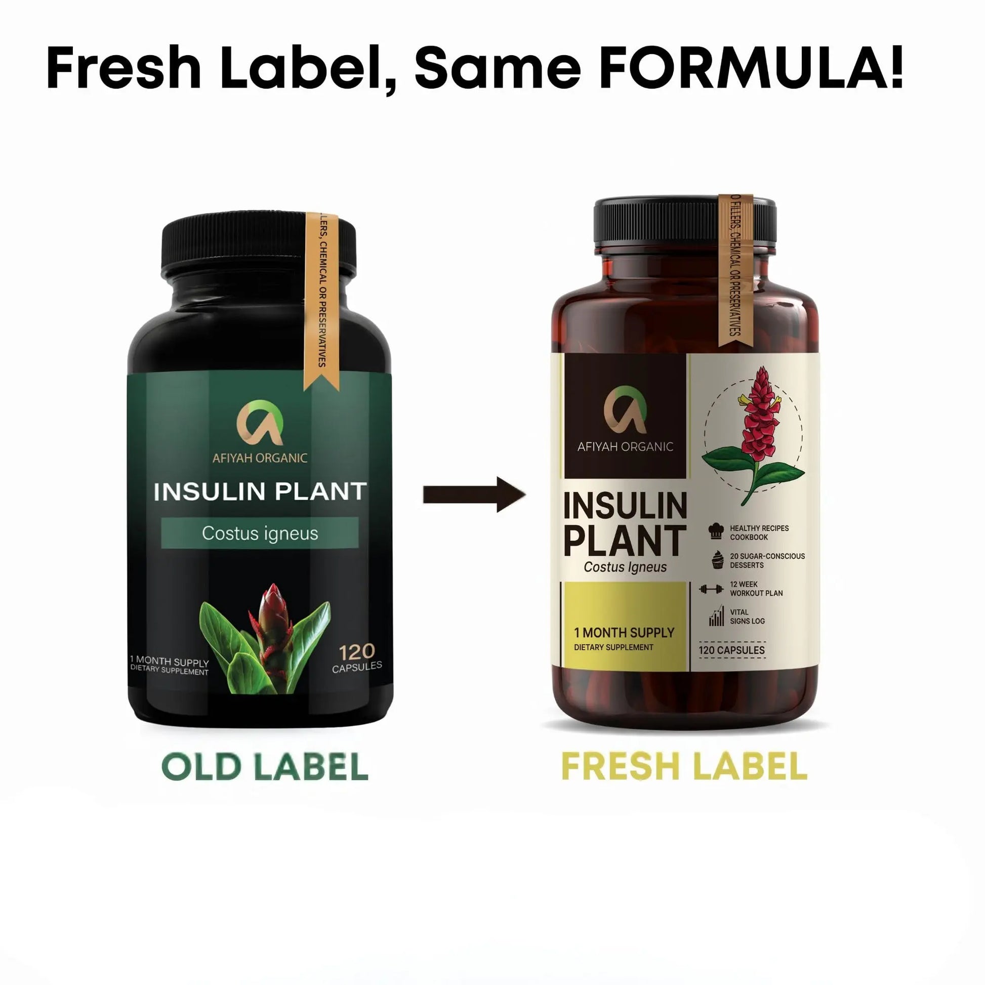 Afiyah Organic - Premium Quality Costus Igneus (Insulin Plant) Capsules - Easy to Swallow 120 Veggie Capsules (1 Month Supply) - Made in the USA - Including Complete Health Support Program Afiyah OrganicAu supplements