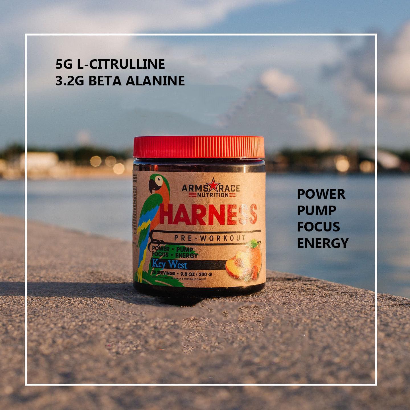 Arms Race Nutrition Harness Pre-Workout, 20 Servings (Big Sky) Arms Race NutritionAu supplements