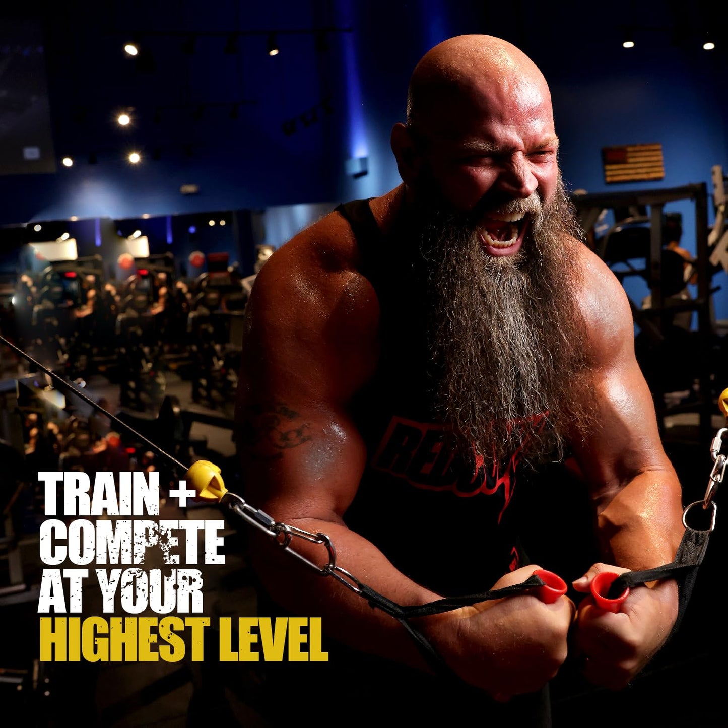 REDCON1 Total War Pre Workout - L Citrulline, Malic Acid, Green Tea Leaf Extract for Pump REDCON1US supplements