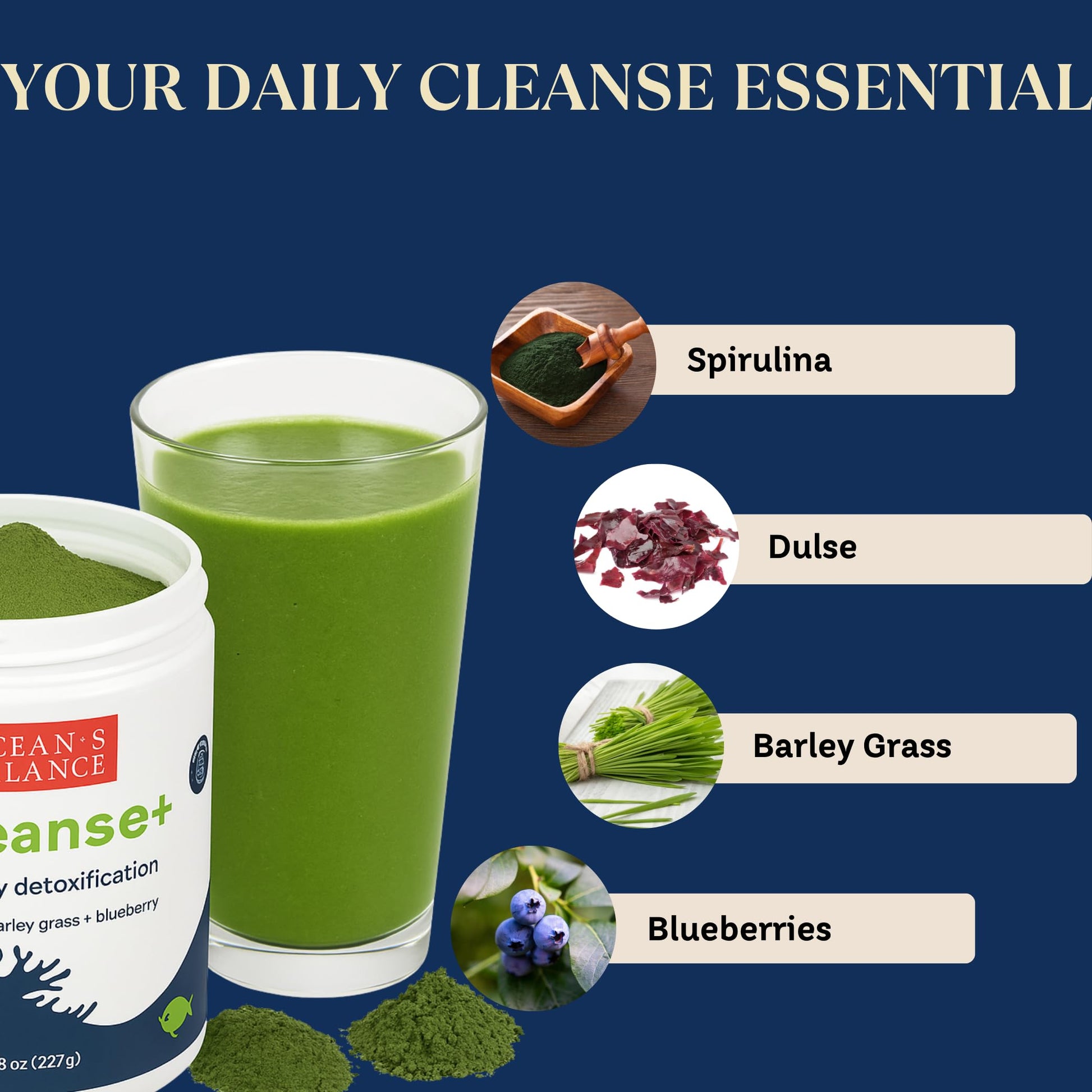 Ocean's Balance Seacleanse+ Daily Detox Cleanse Powder | Gut Health & Immune Support | Supports Gentle Cleanse & Vitality | 8oz Ocean's Balance Clean Taste of MaineAu supplements