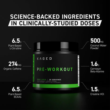 Kaged Stimulant Free Pre Workout Powder | Fruit Punch | Pre-Kaged | Formulated with Creatine, Beta Alanine | No Jitters | 20 Servings KagedUS supplements