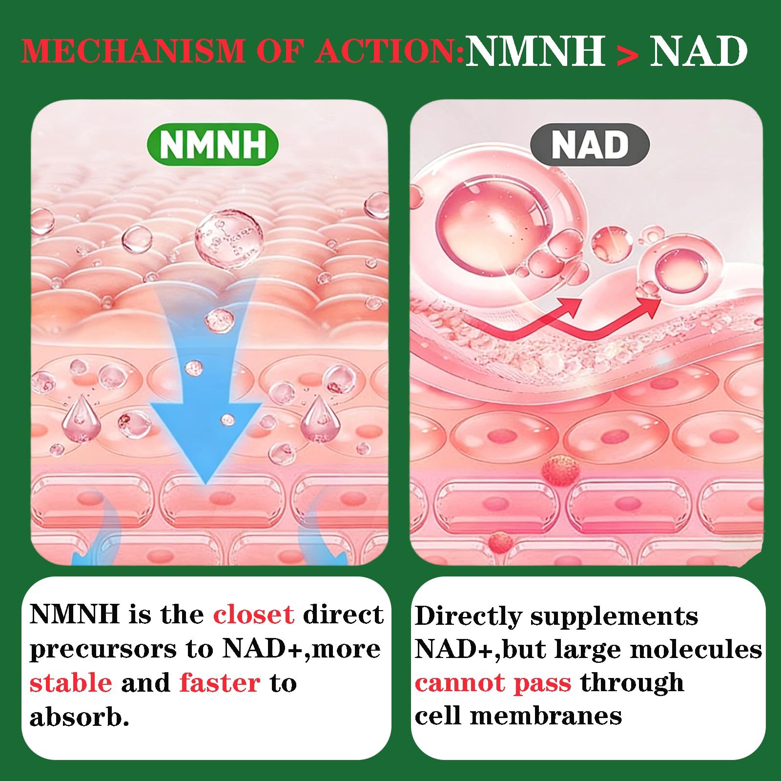 GHKALQ NMNH Supplement 1000mg,Liposomal Pure Nicotinamide Mononucleotide,Boost NAD Level with Resveratrol & Nicotinamide Riboside NR,High Absorption,for Cellular,Energy,Non-GMO,Vegan,120 Capsules GHKALQAu supplements