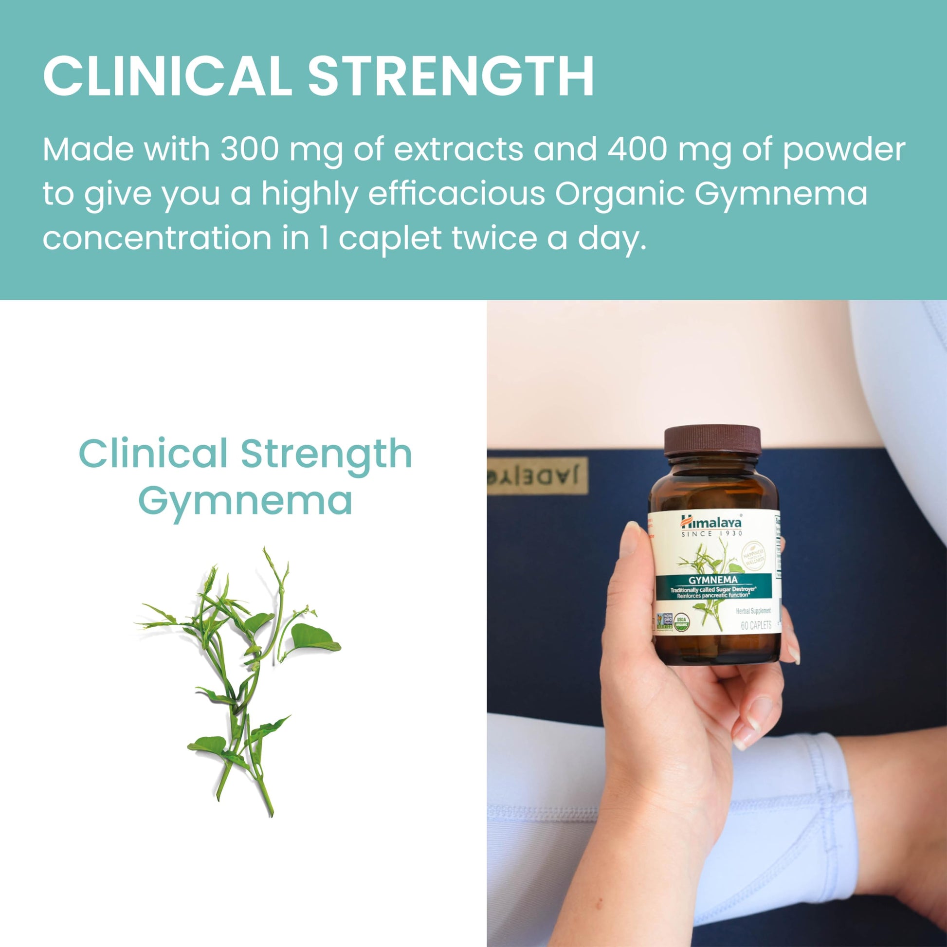 Himalaya Organic Gymnema Herbal Supplement for Weight Management, USDA Certified HimalayaUS supplements